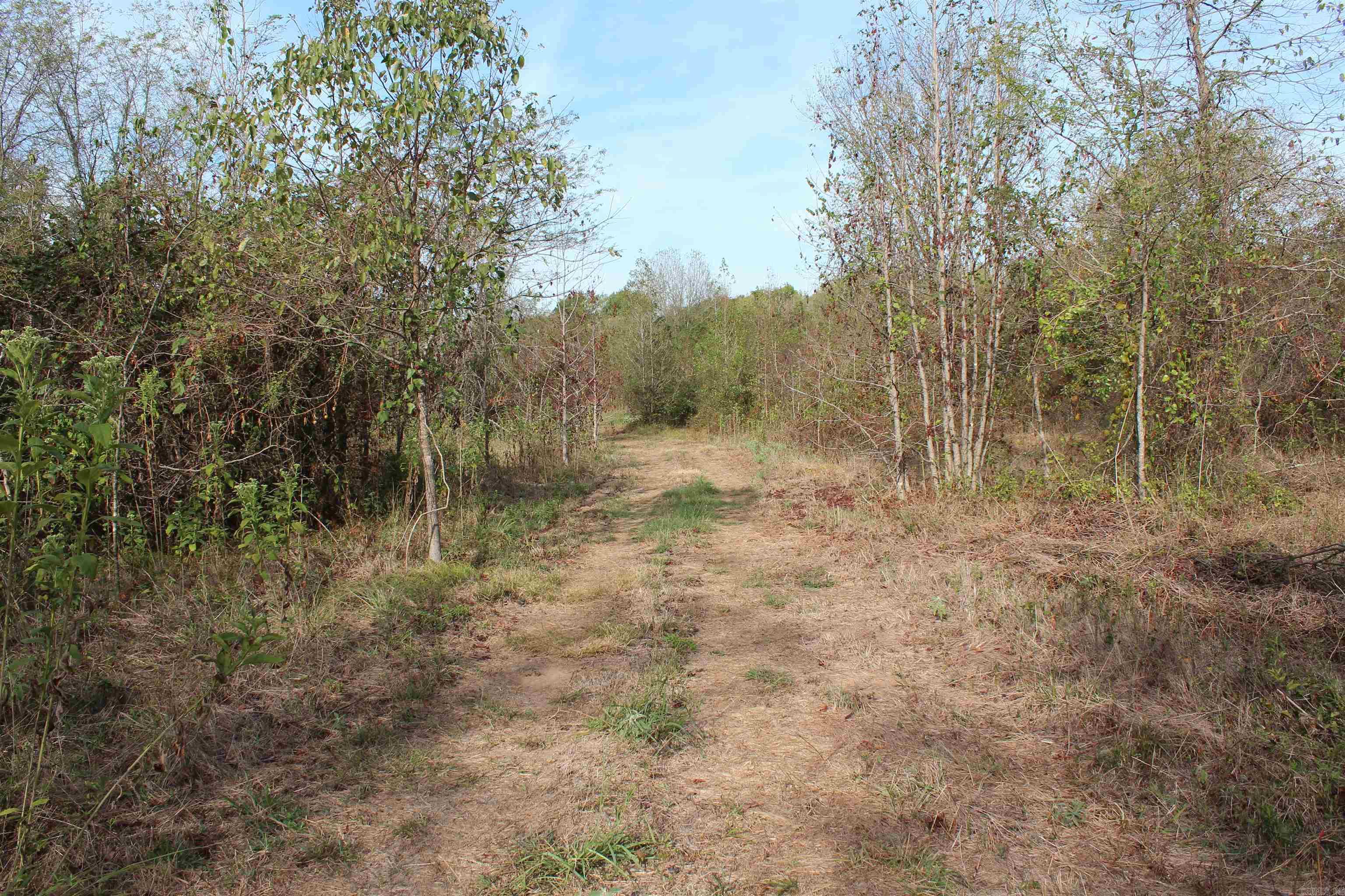 006 197 Property Photo 27