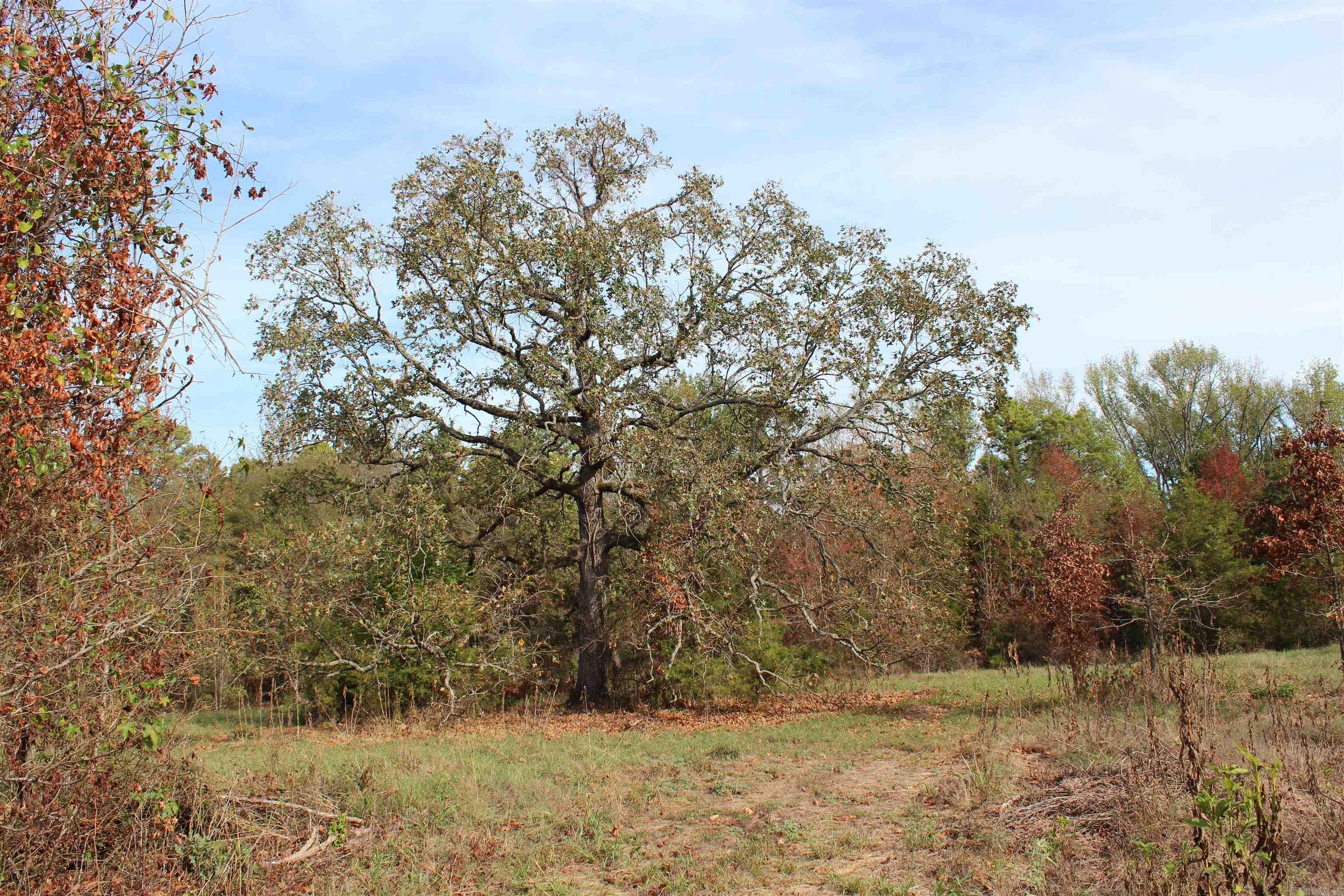 006 197 Property Photo 28
