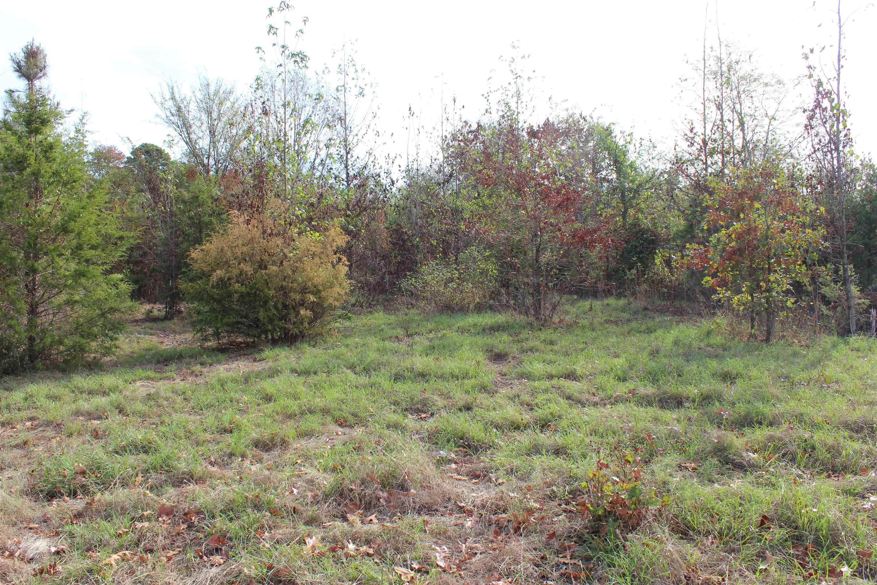 006 197 Property Photo 29