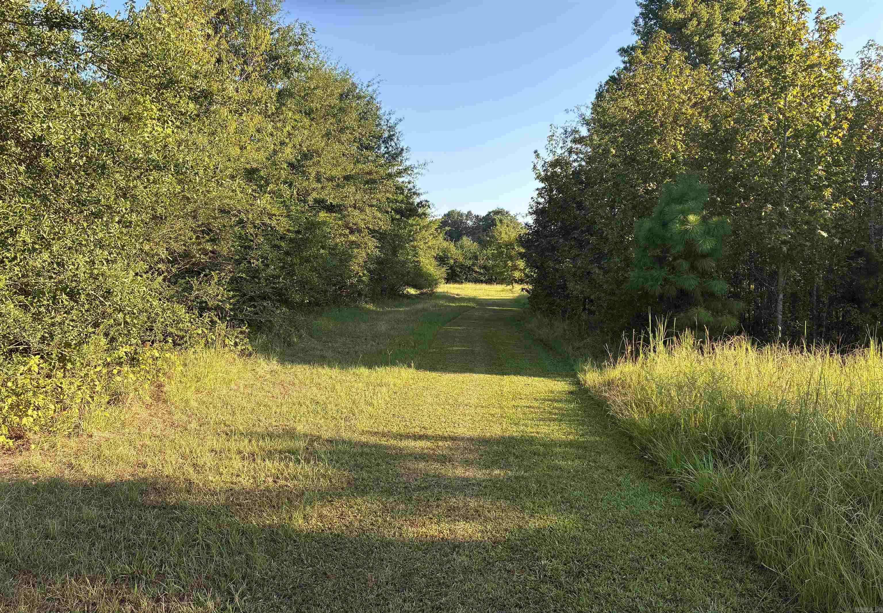 316 Gamble Lane Property Photo 5