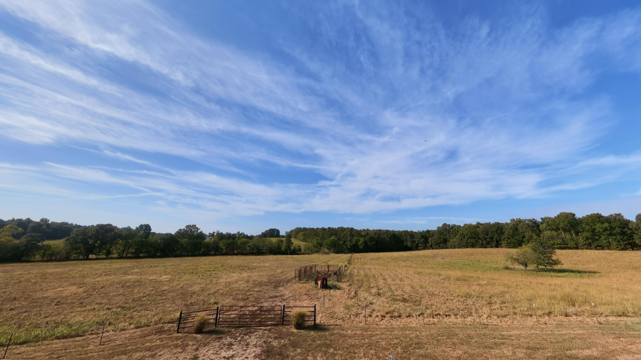 1387 County Road 201 Property Photo 30