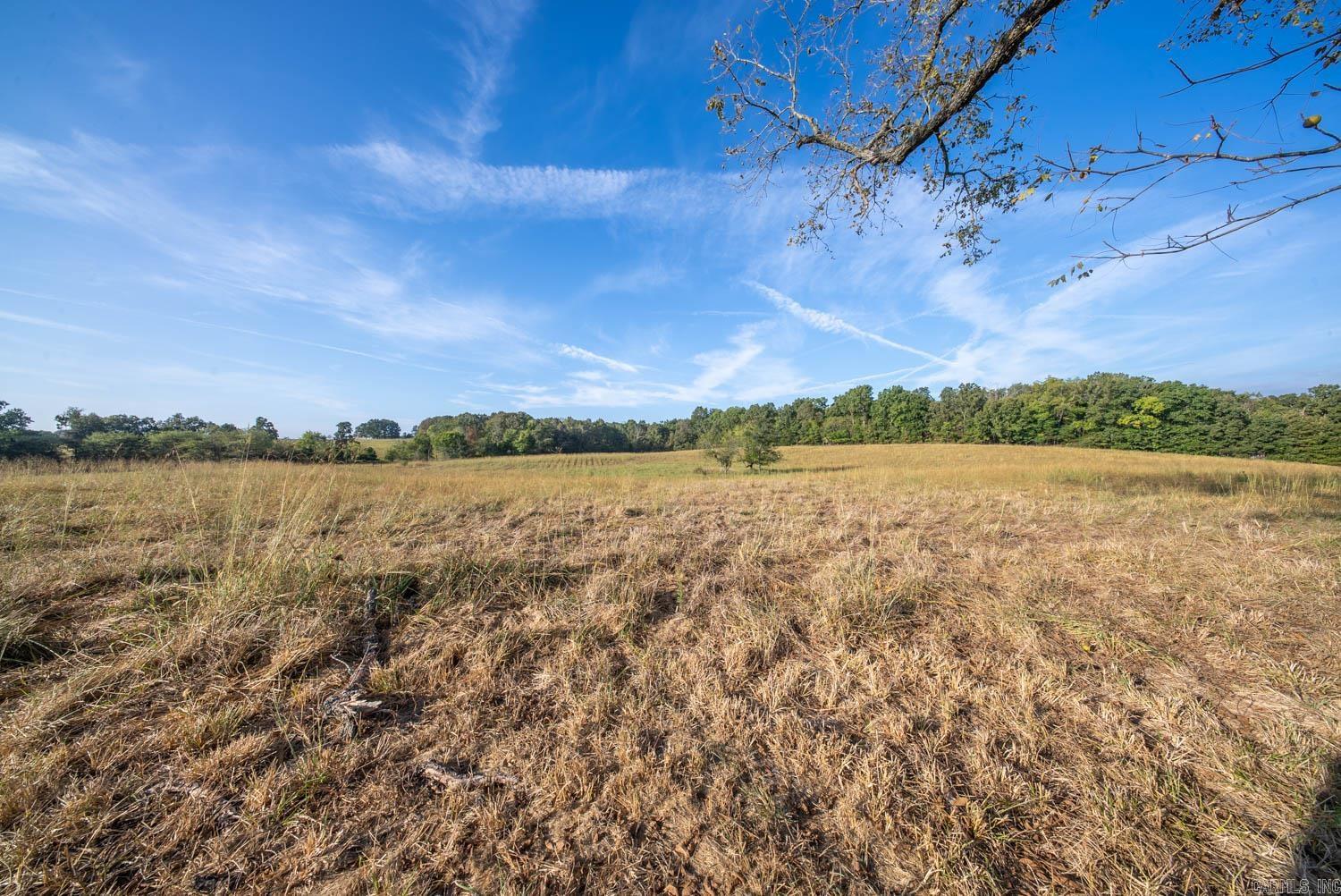 1387 County Road 201 Property Photo 32