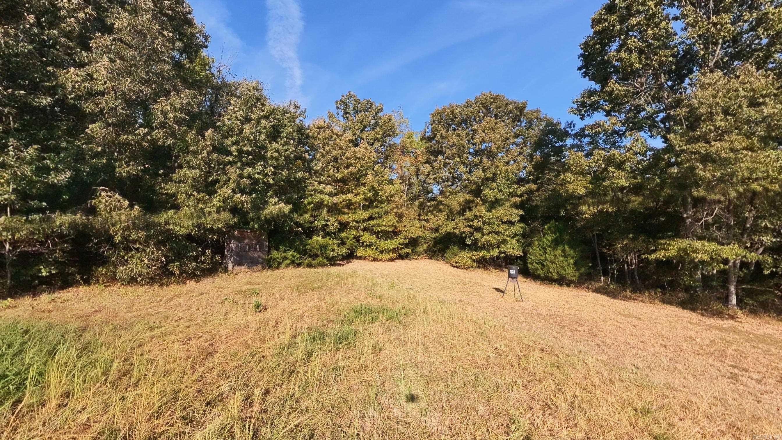1387 County Road 201 Property Photo 43
