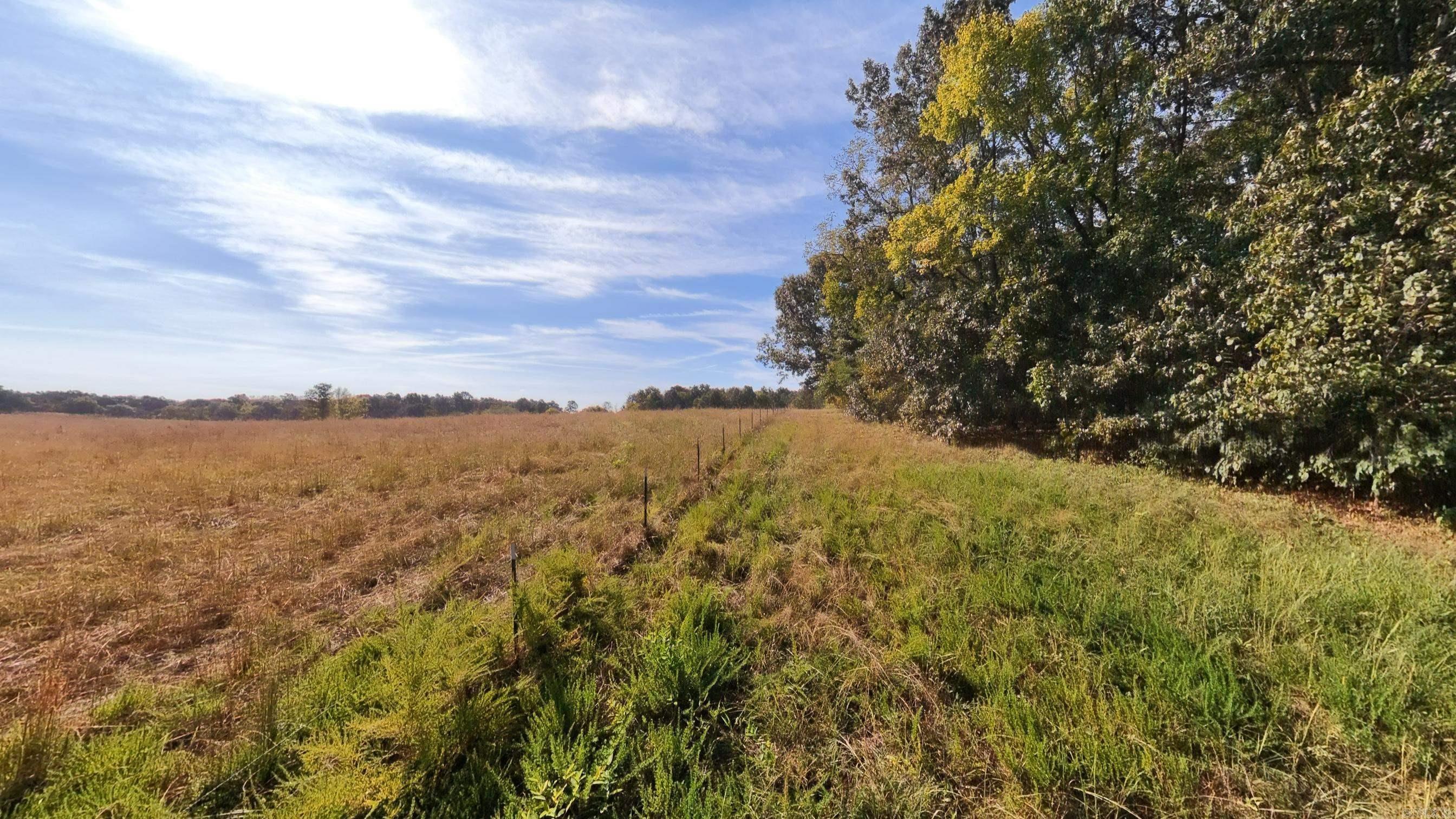 1387 County Road 201 Property Photo 50
