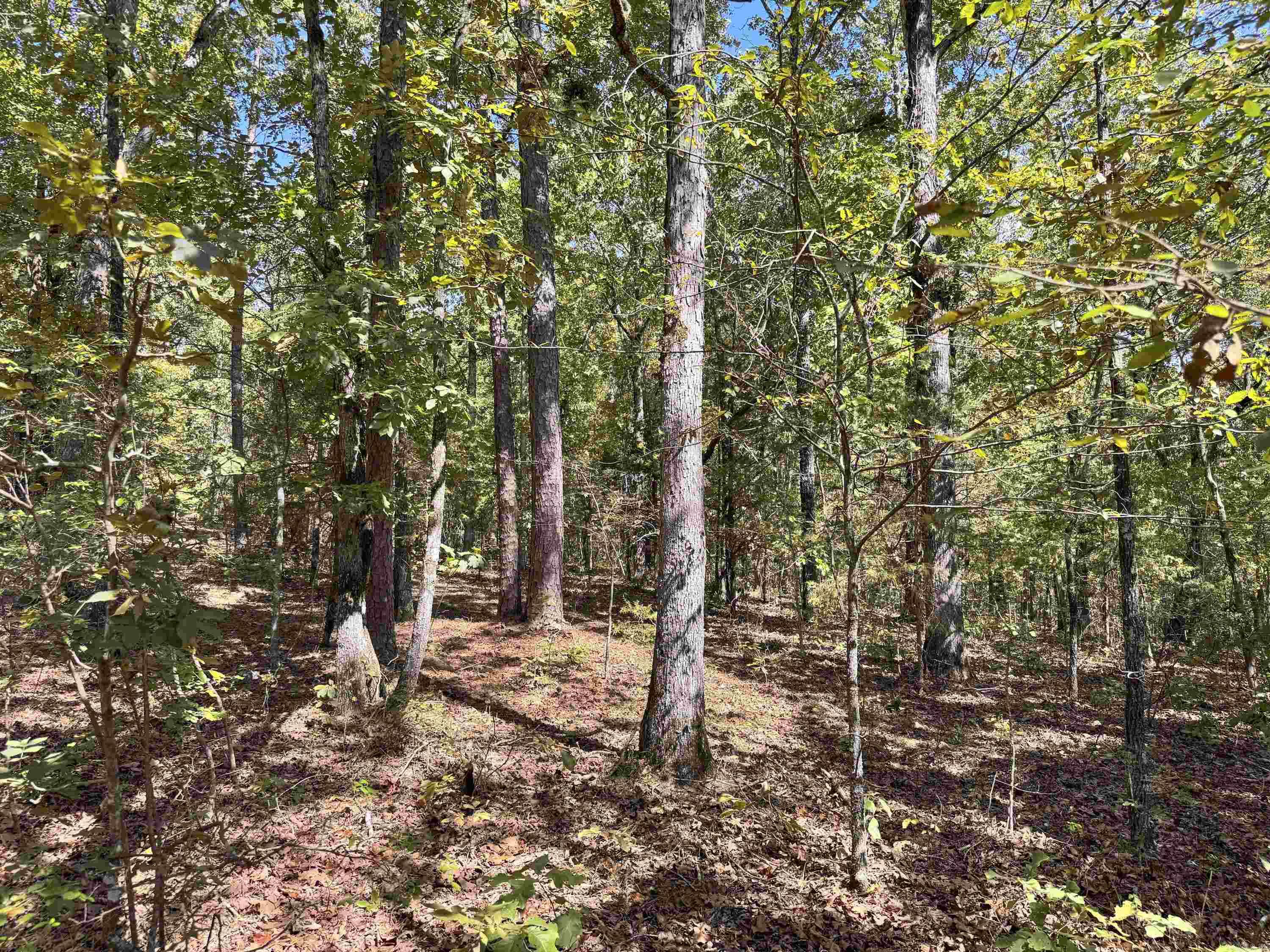 1600 Pole Ranch Road Property Photo 5