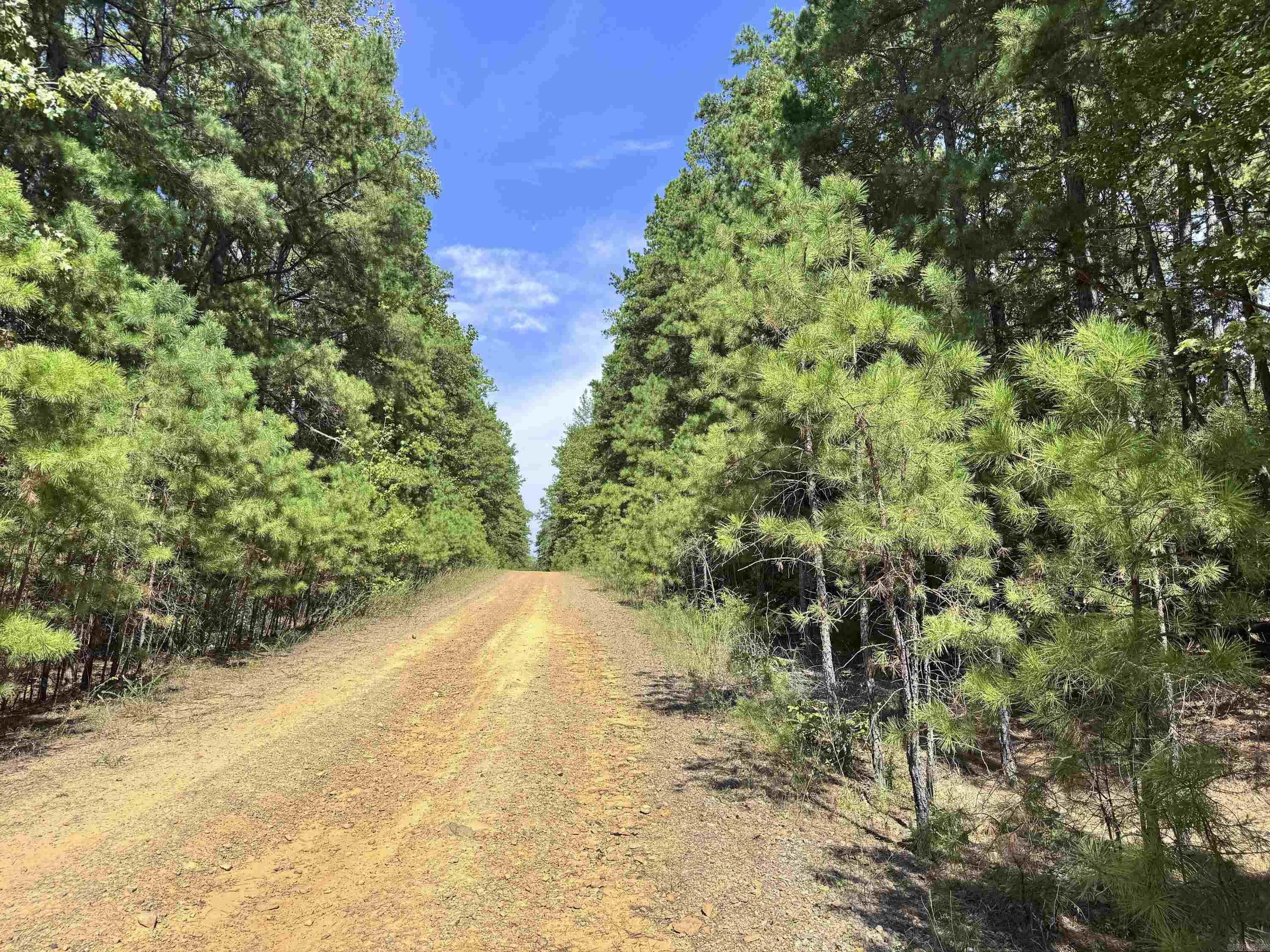 1600 Pole Ranch Road Property Photo 8