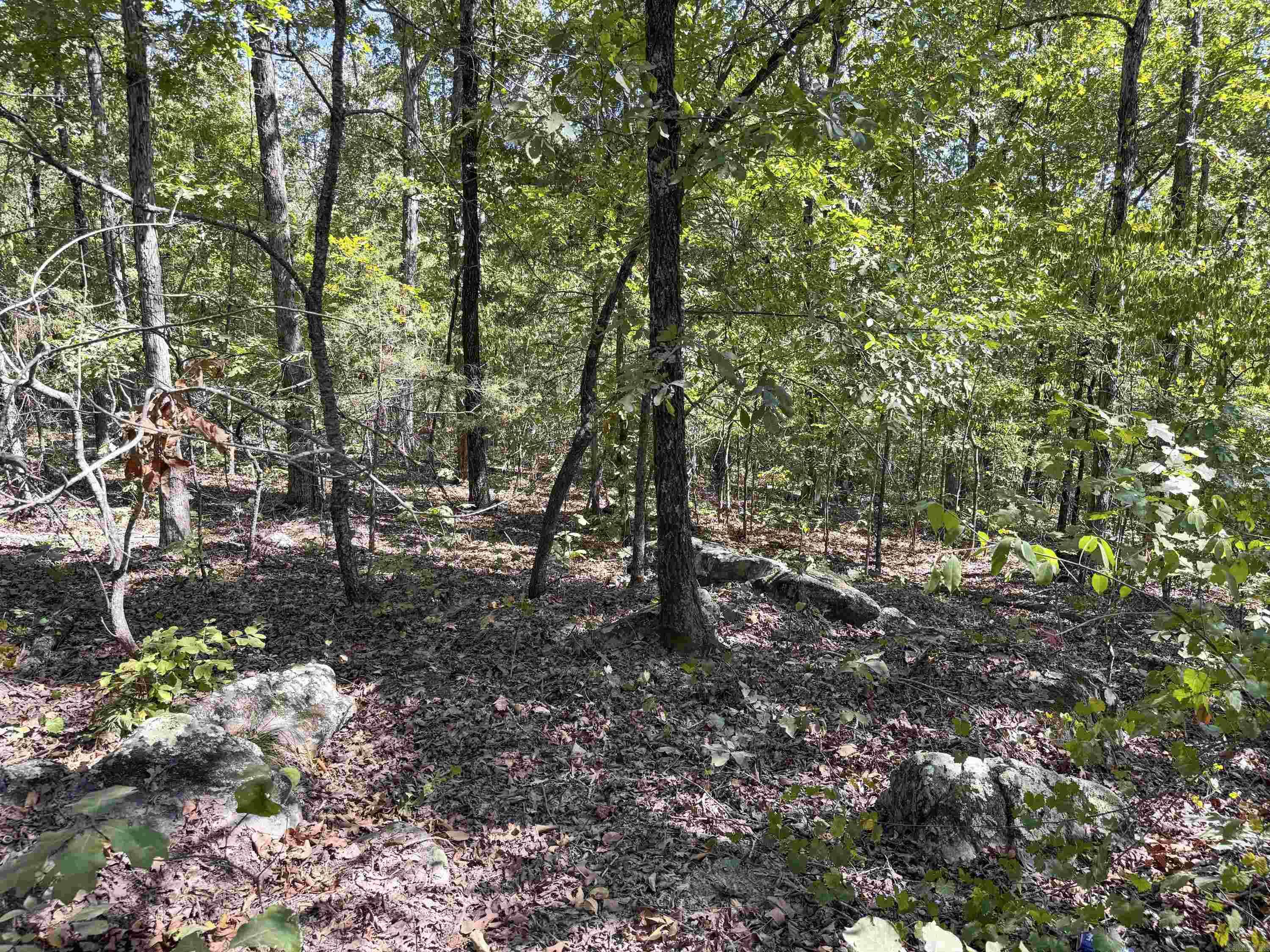 1600 Pole Ranch Road Property Photo 12