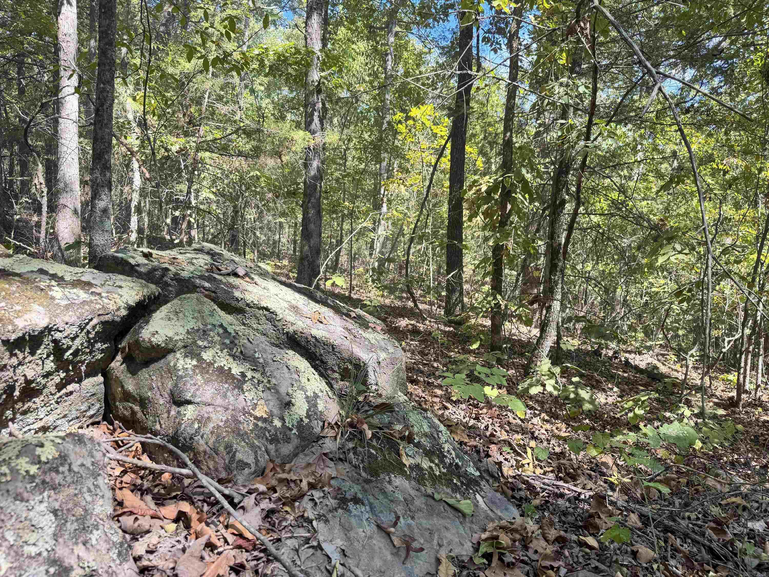 1600 Pole Ranch Road Property Photo 14