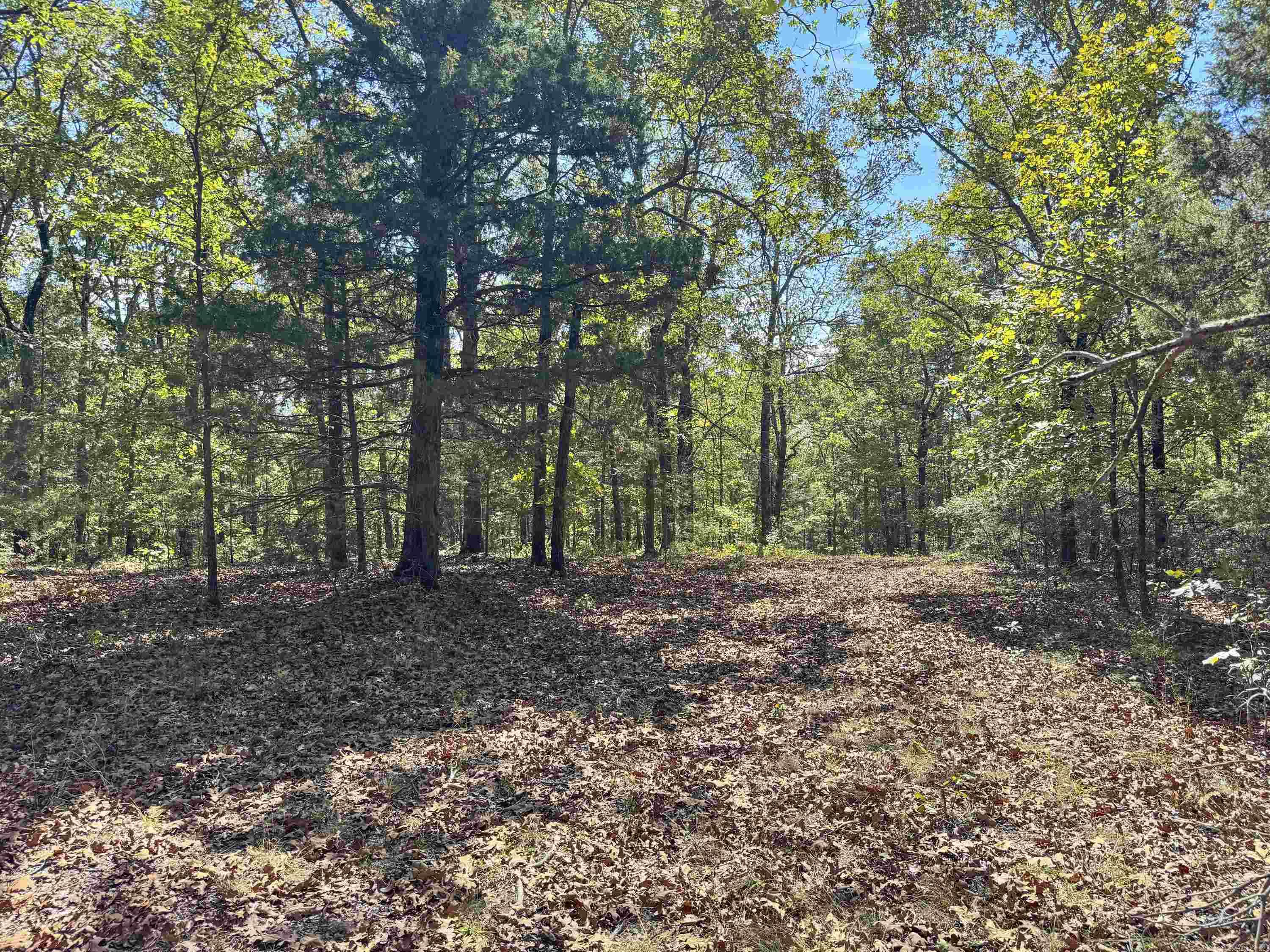 1600 Pole Ranch Road Property Photo 15