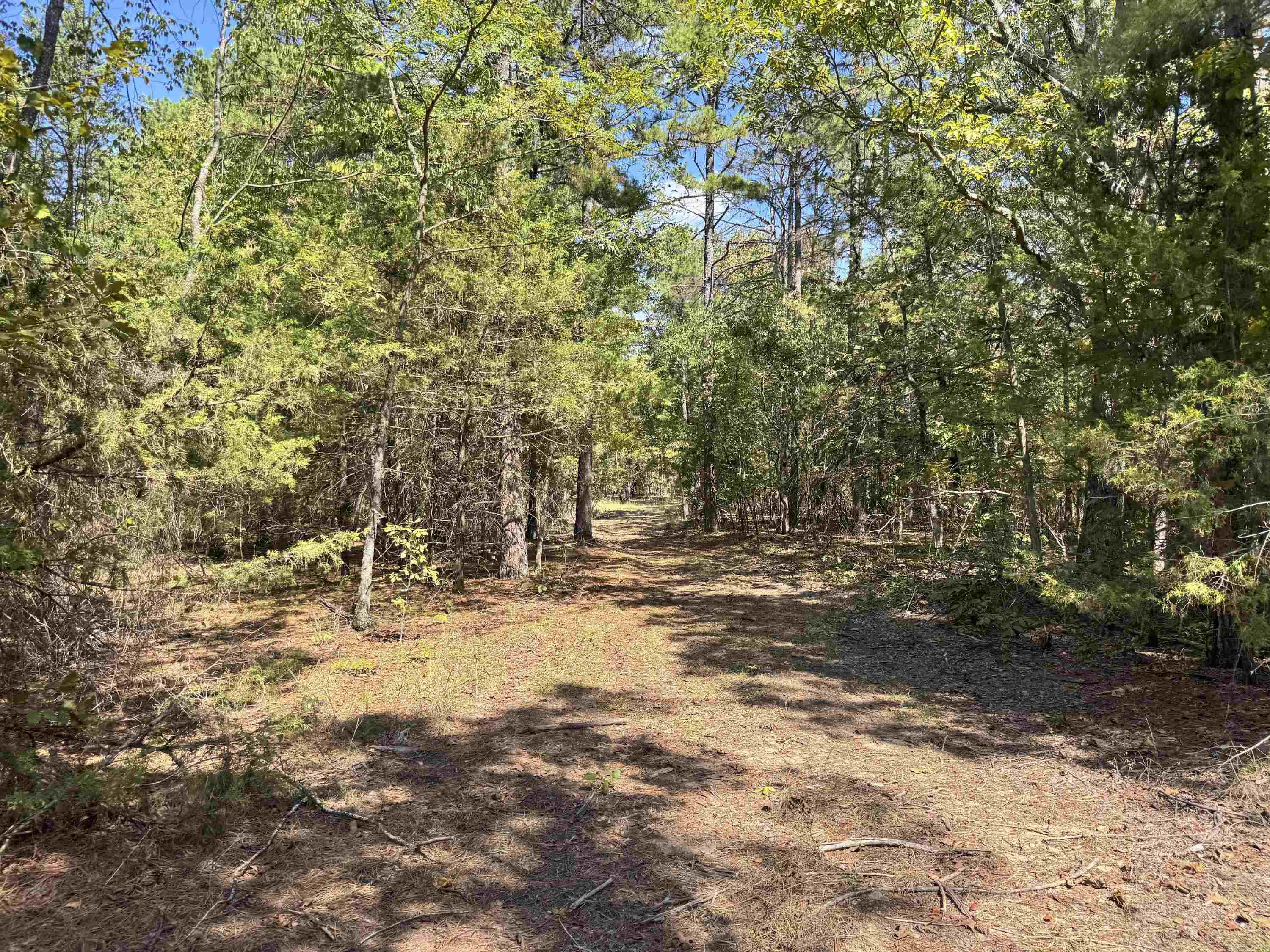 1600 Pole Ranch Road Property Photo 17