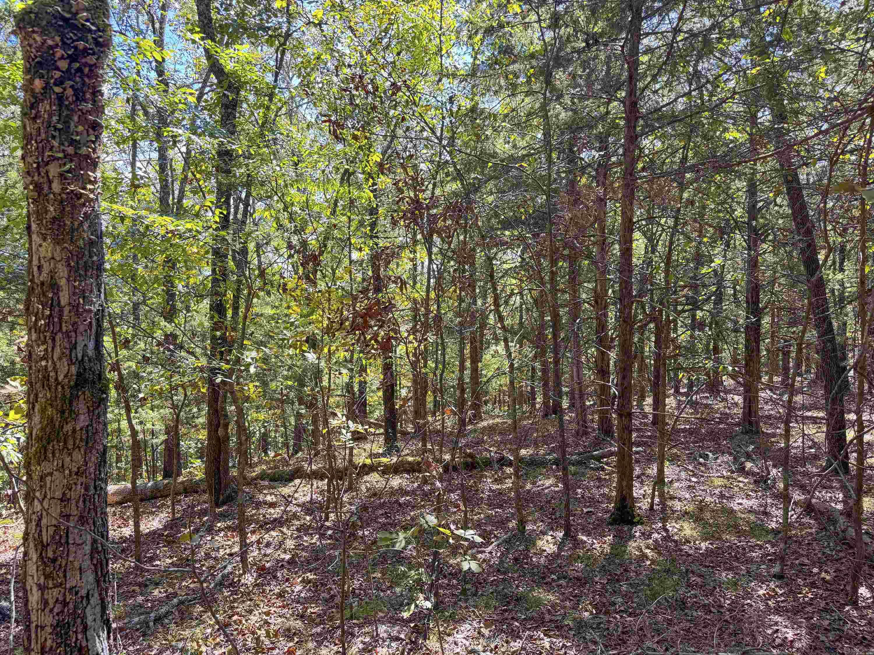 1600 Pole Ranch Road Property Photo 18