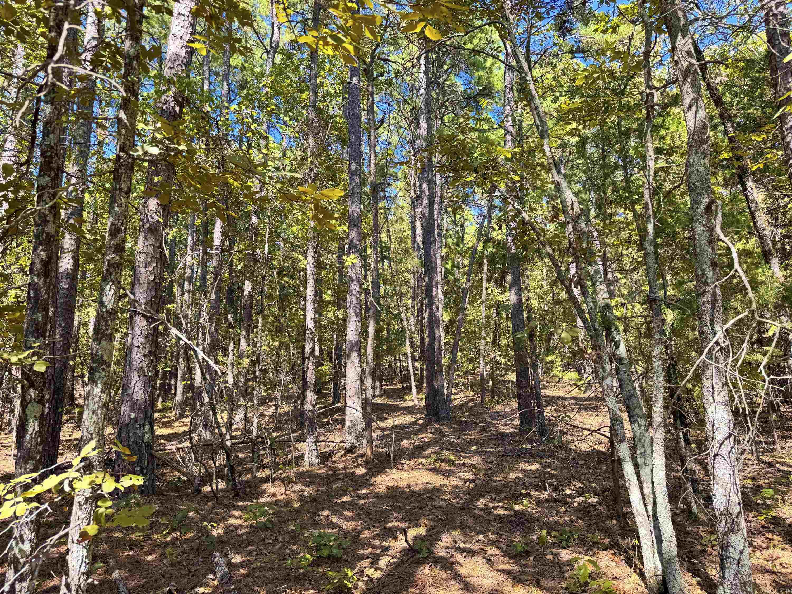 1600 Pole Ranch Road Property Photo 19
