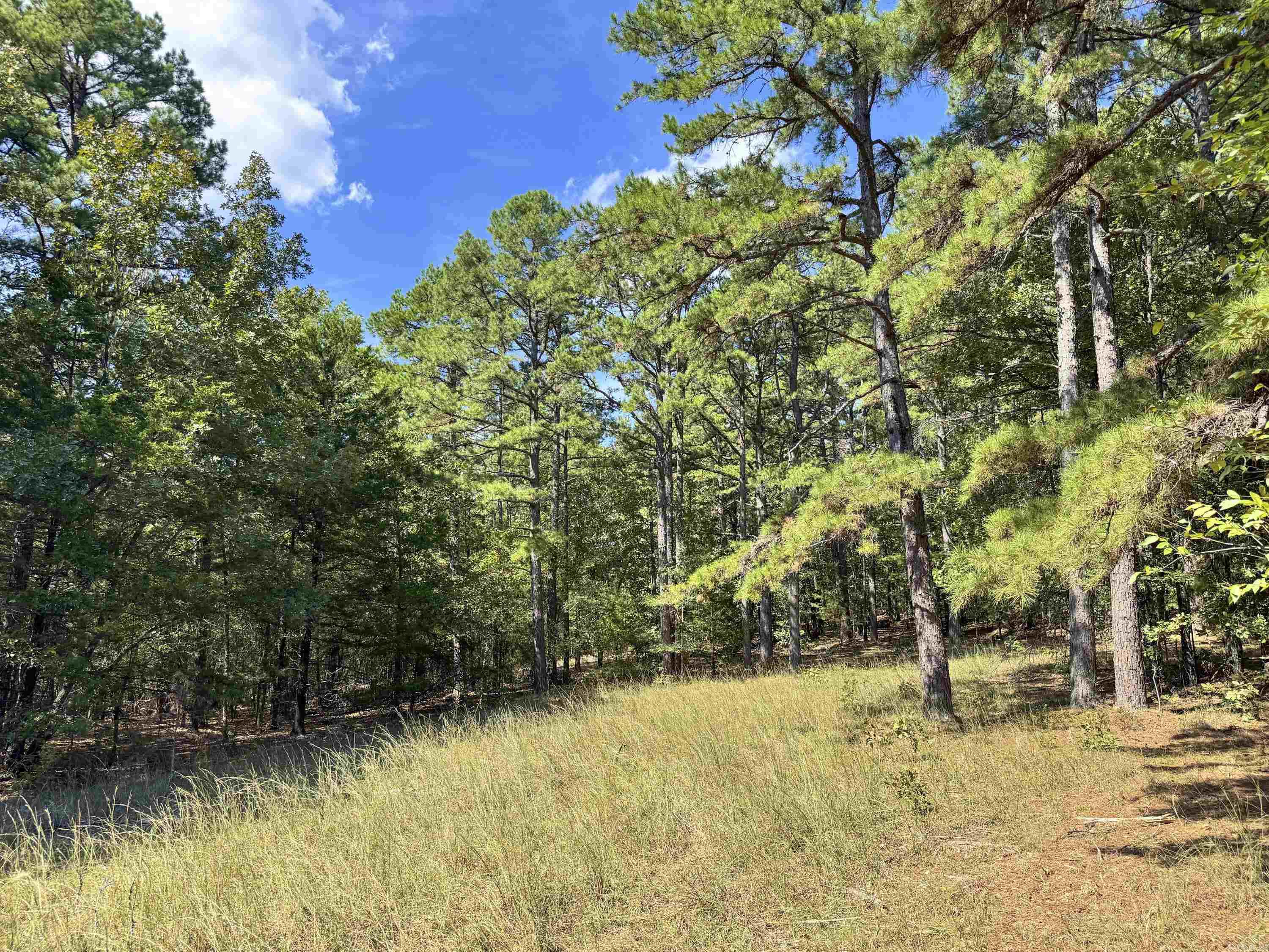 1600 Pole Ranch Road Property Photo 20
