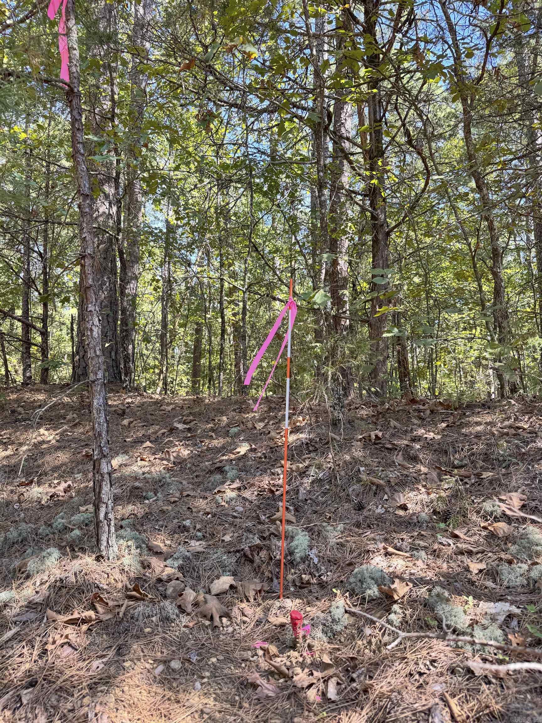 1600 Pole Ranch Road Property Photo 21