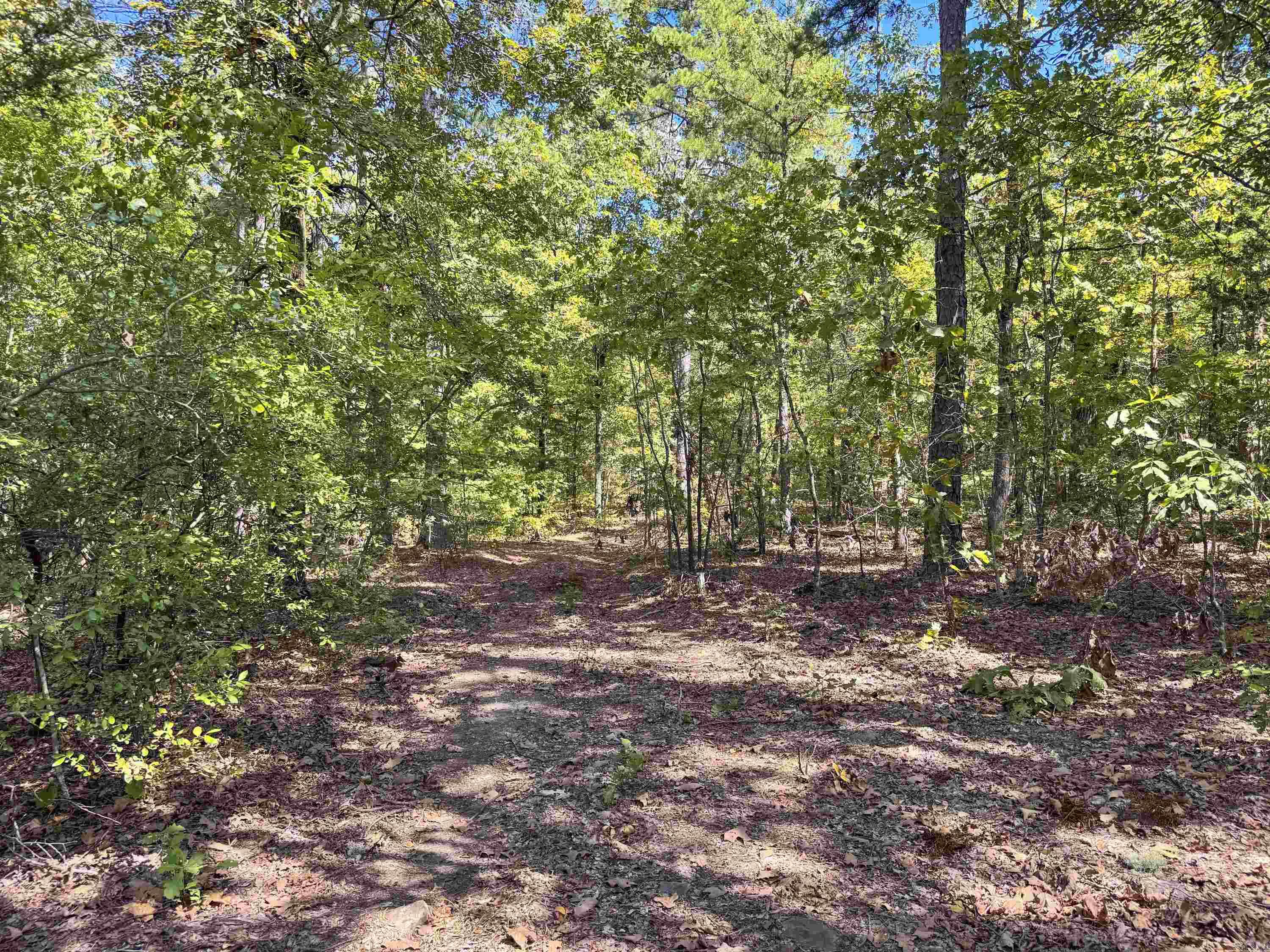 1600 Pole Ranch Road Property Photo 26