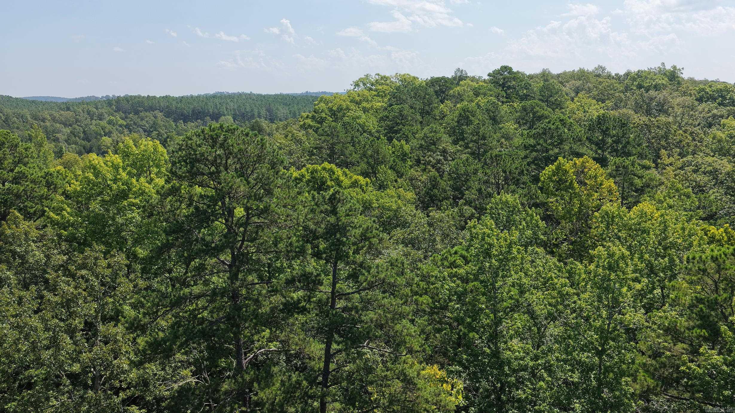 8450 Goose Pond Road Property Photo 7