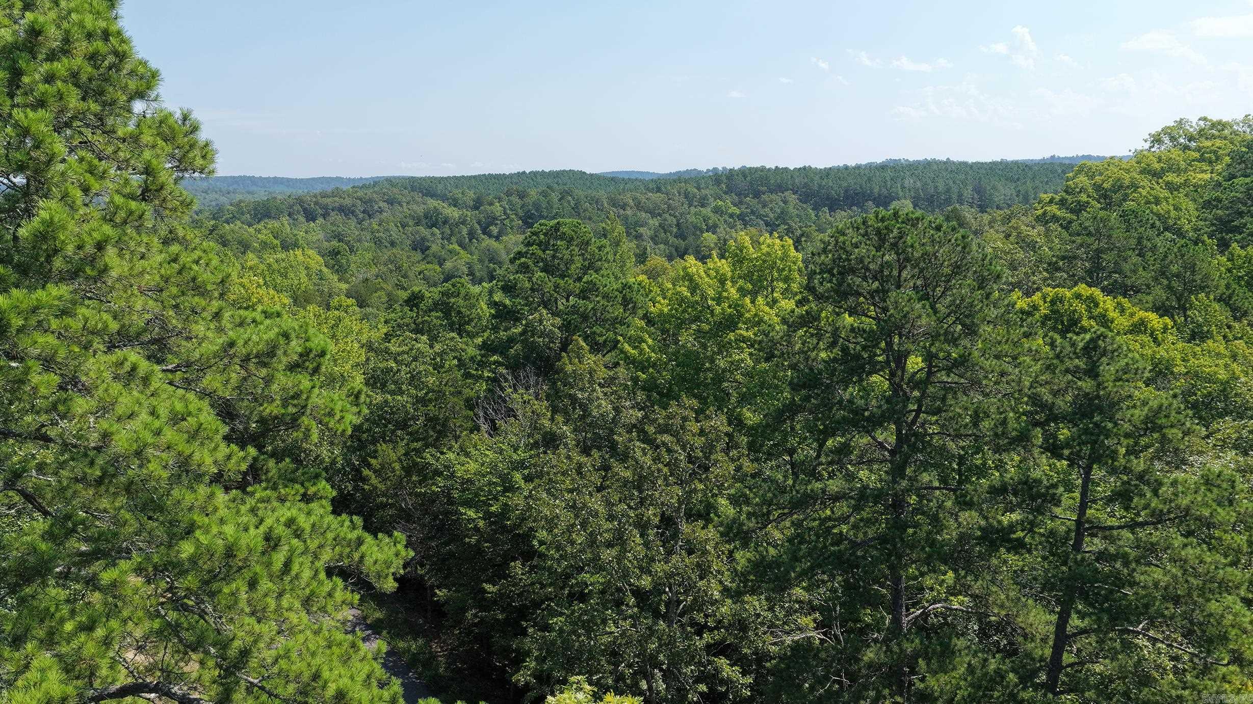 8450 Goose Pond Road Property Photo 8