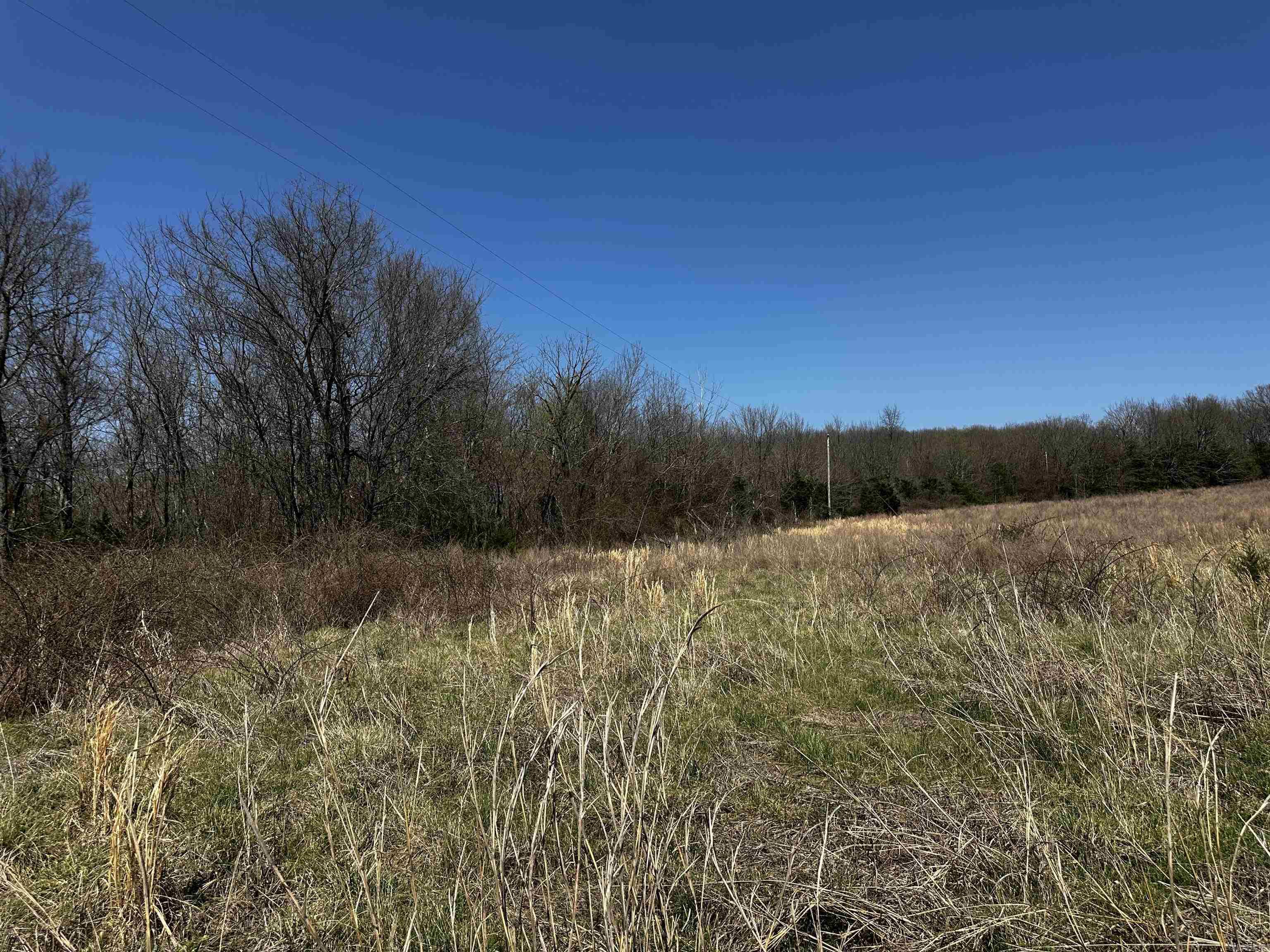 000 Horton Hill Road Property Photo 6