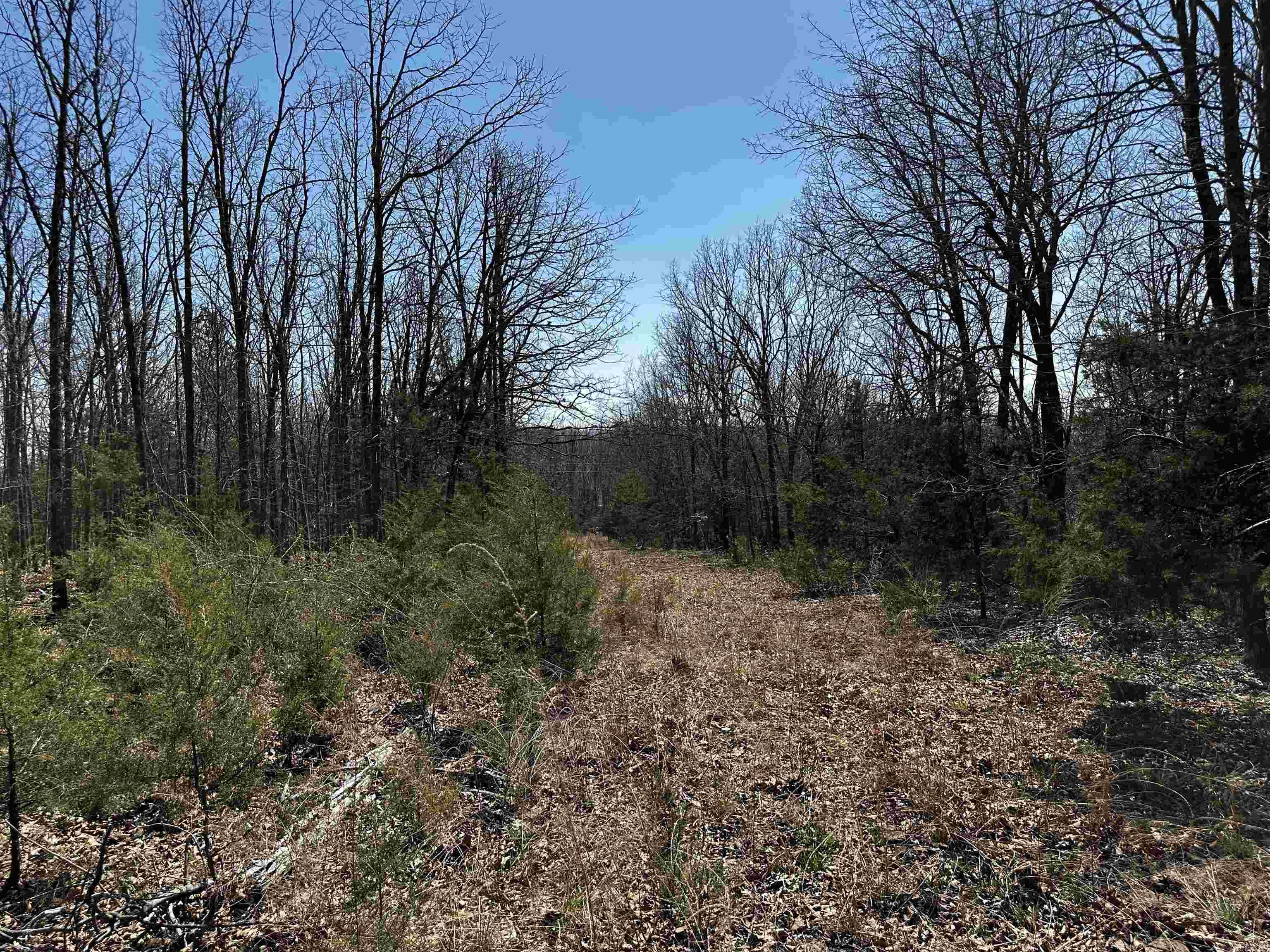 000 Horton Hill Road Property Photo 10