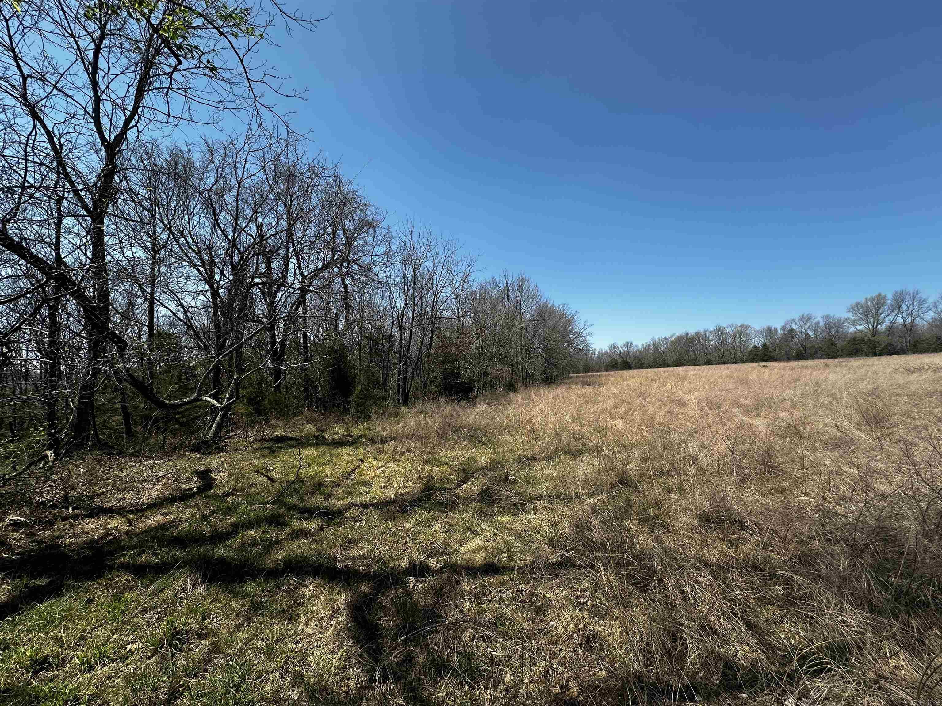 000 Horton Hill Road Property Photo 15