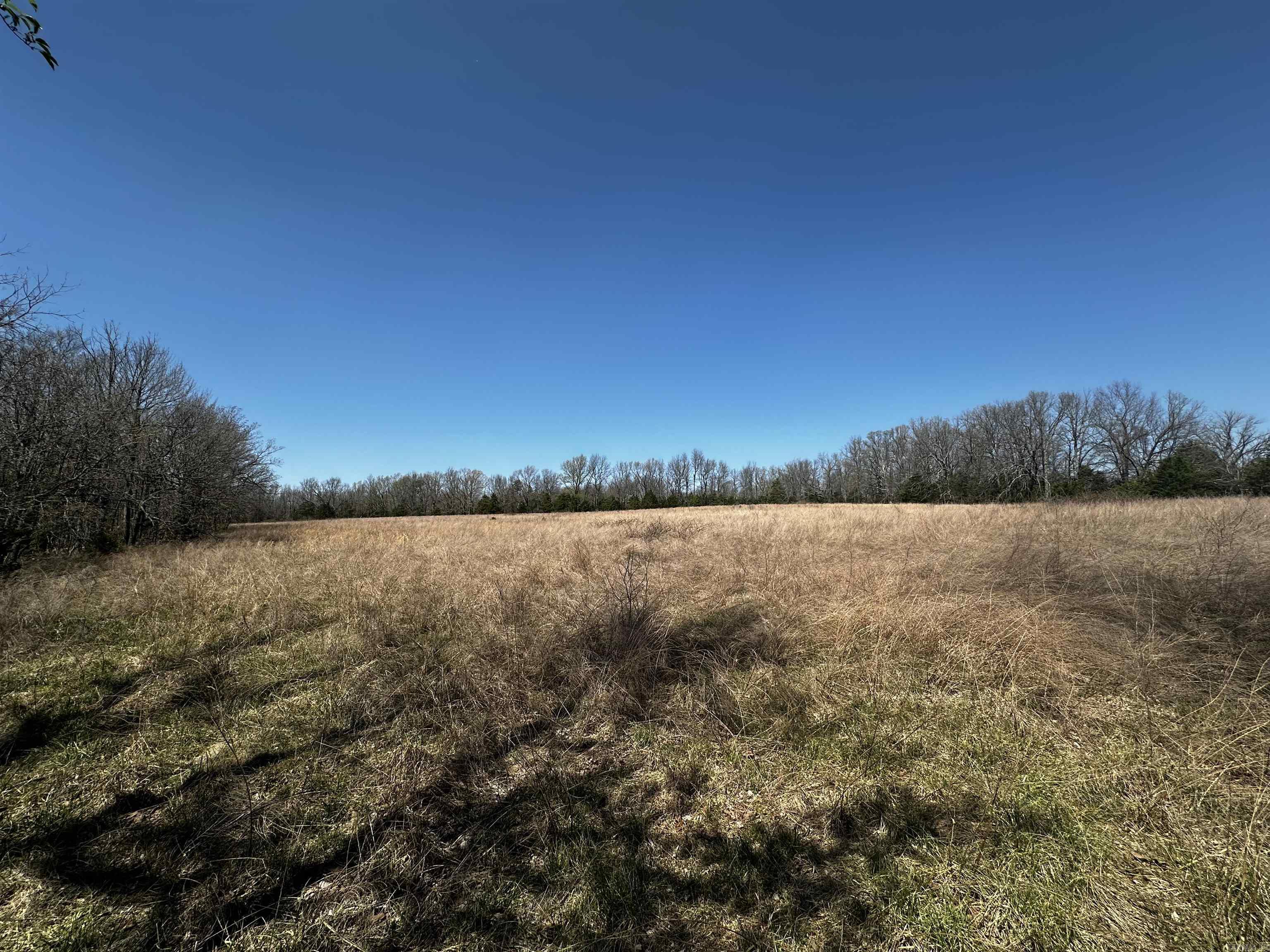 000 Horton Hill Road Property Photo 16