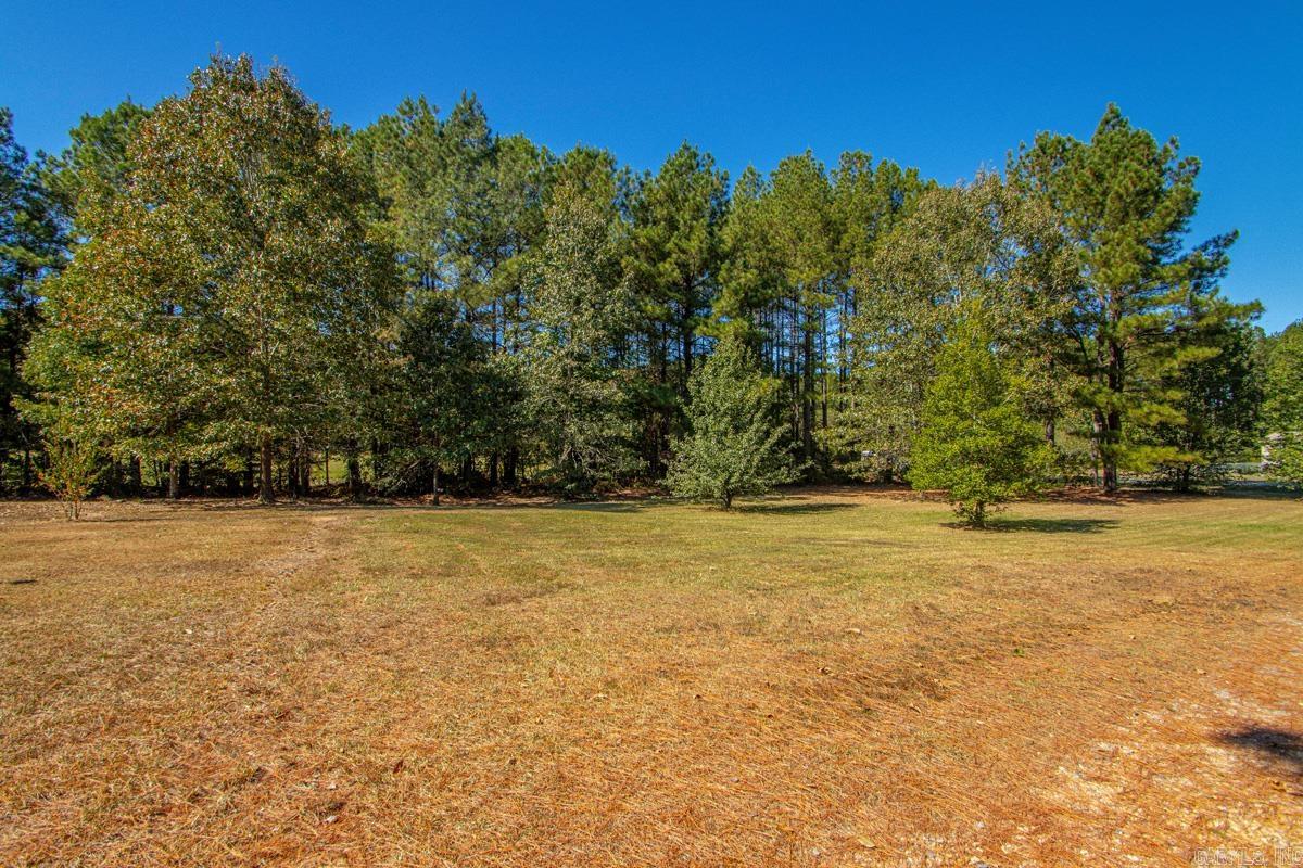 237 Alex Loop Property Photo 5