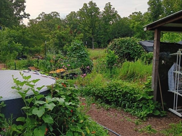 Xx Marquette Property Photo 25