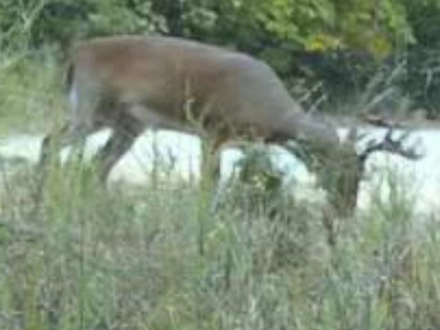 Xx Marquette Property Photo 26