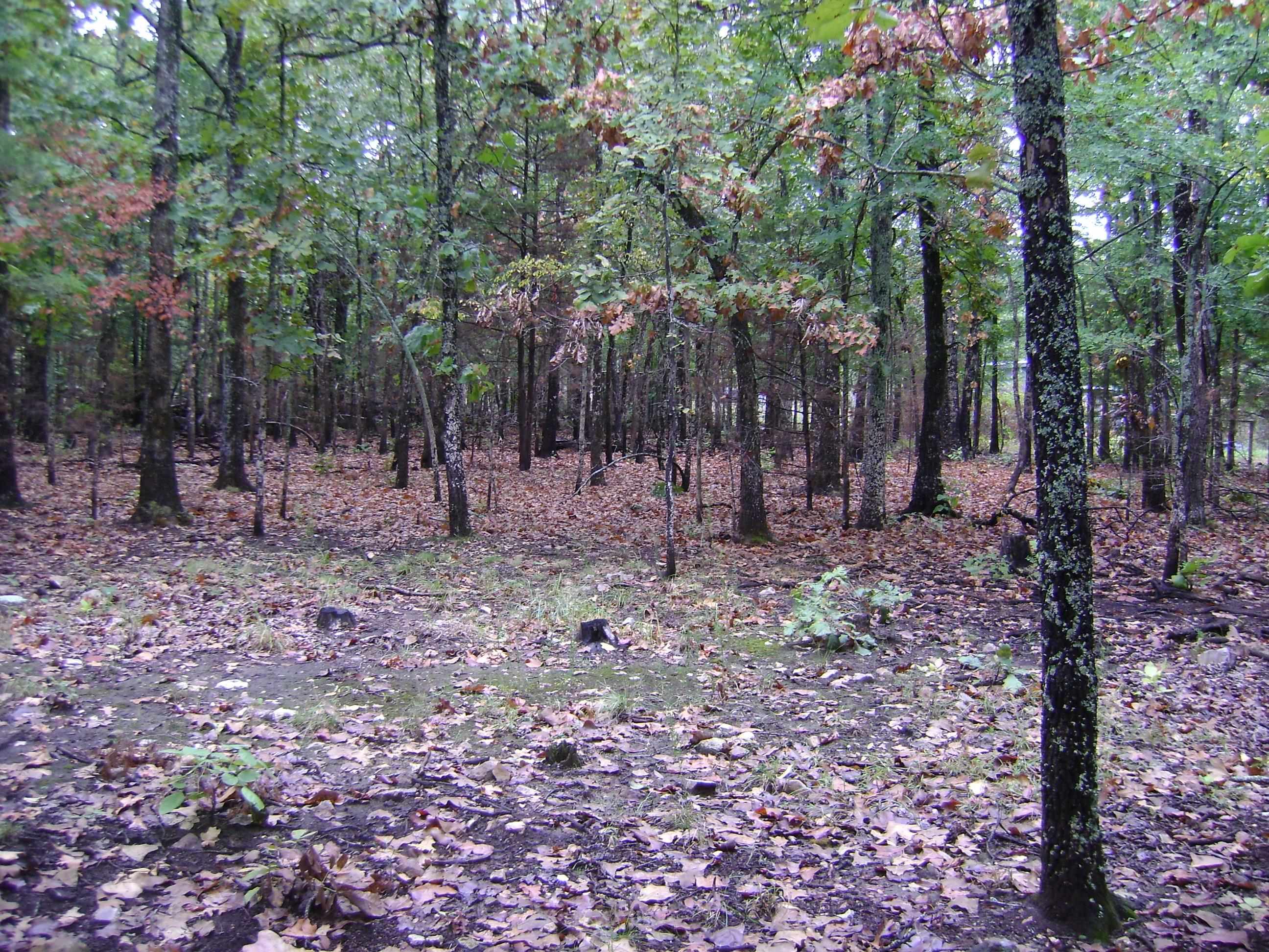 Xx Marquette Property Photo 41