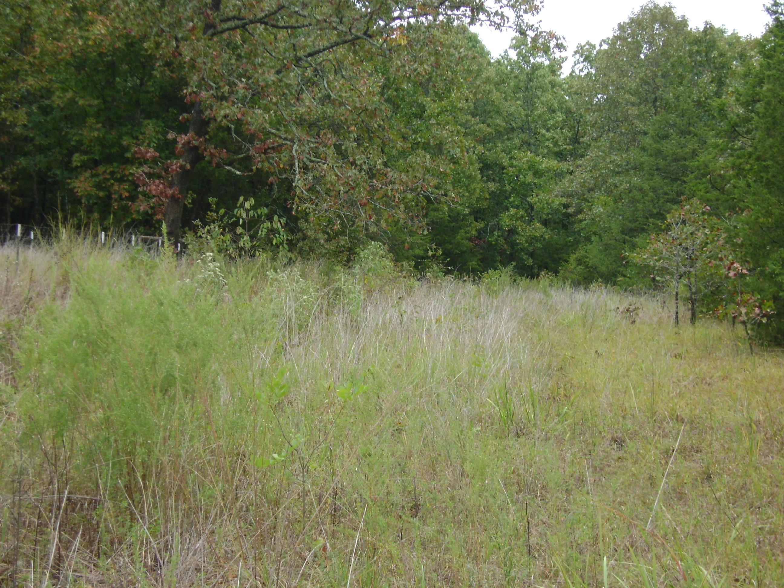 Xx Marquette Property Photo 43