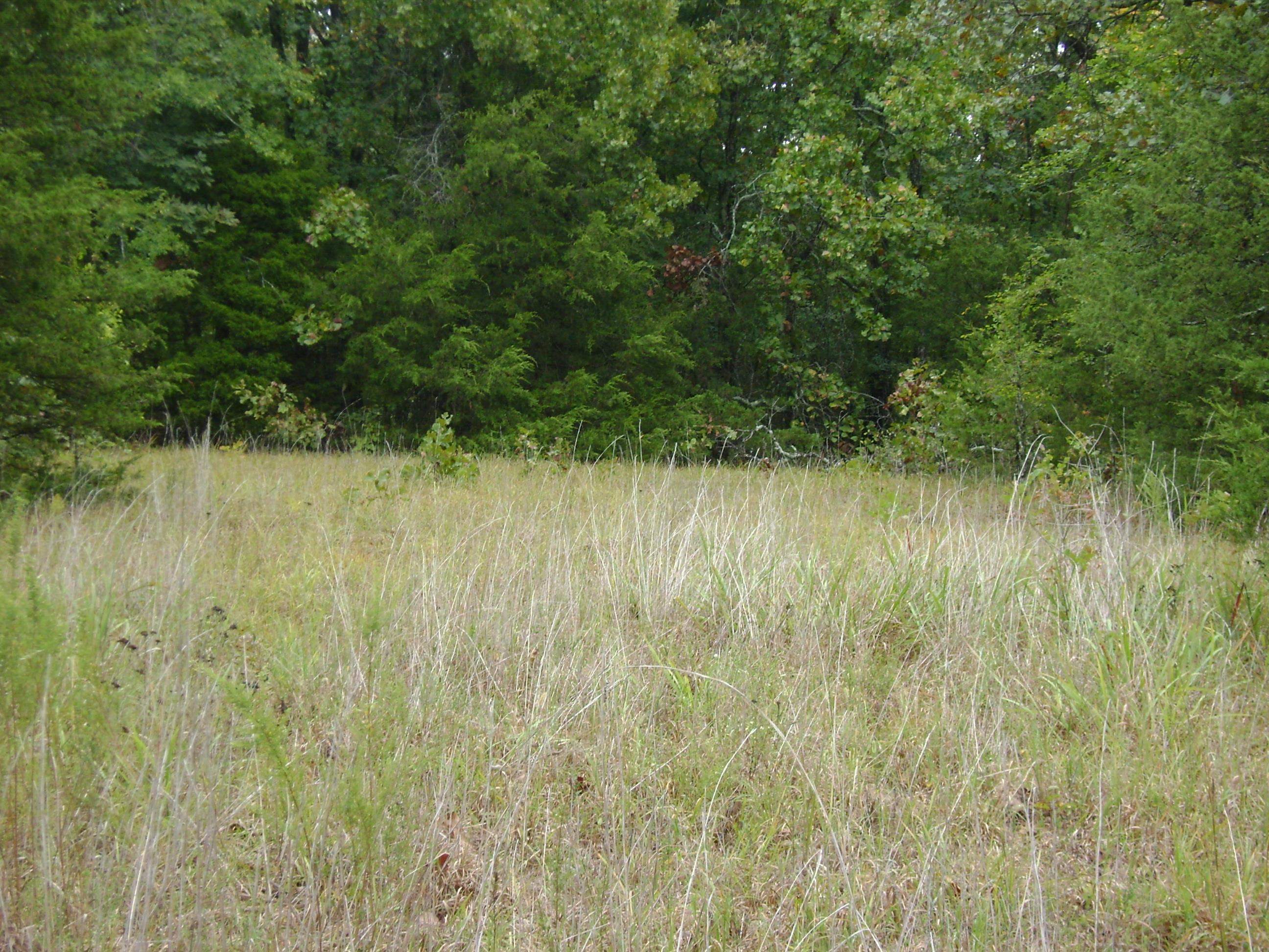 Xx Marquette Property Photo 44
