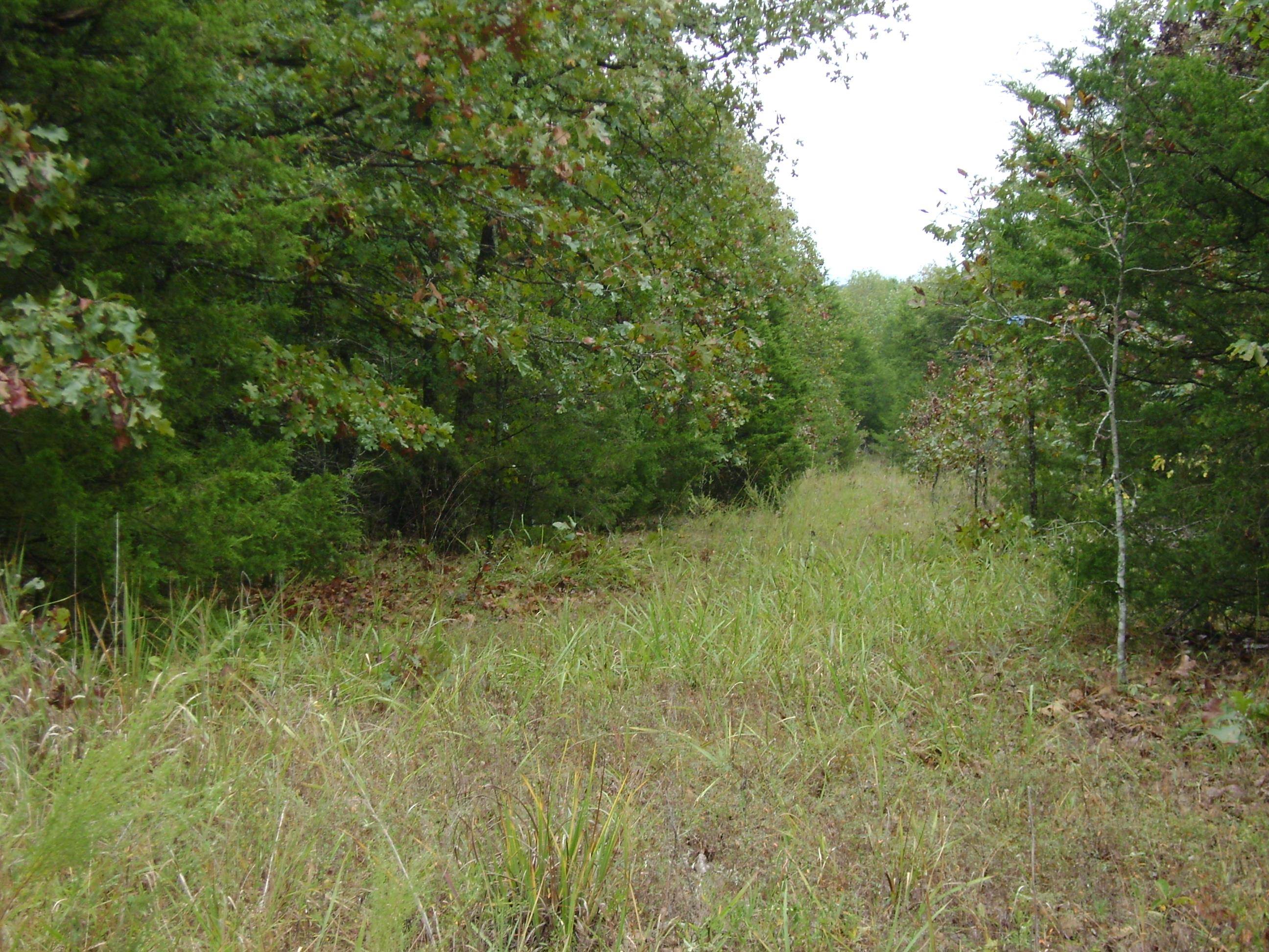 Xx Marquette Property Photo 45