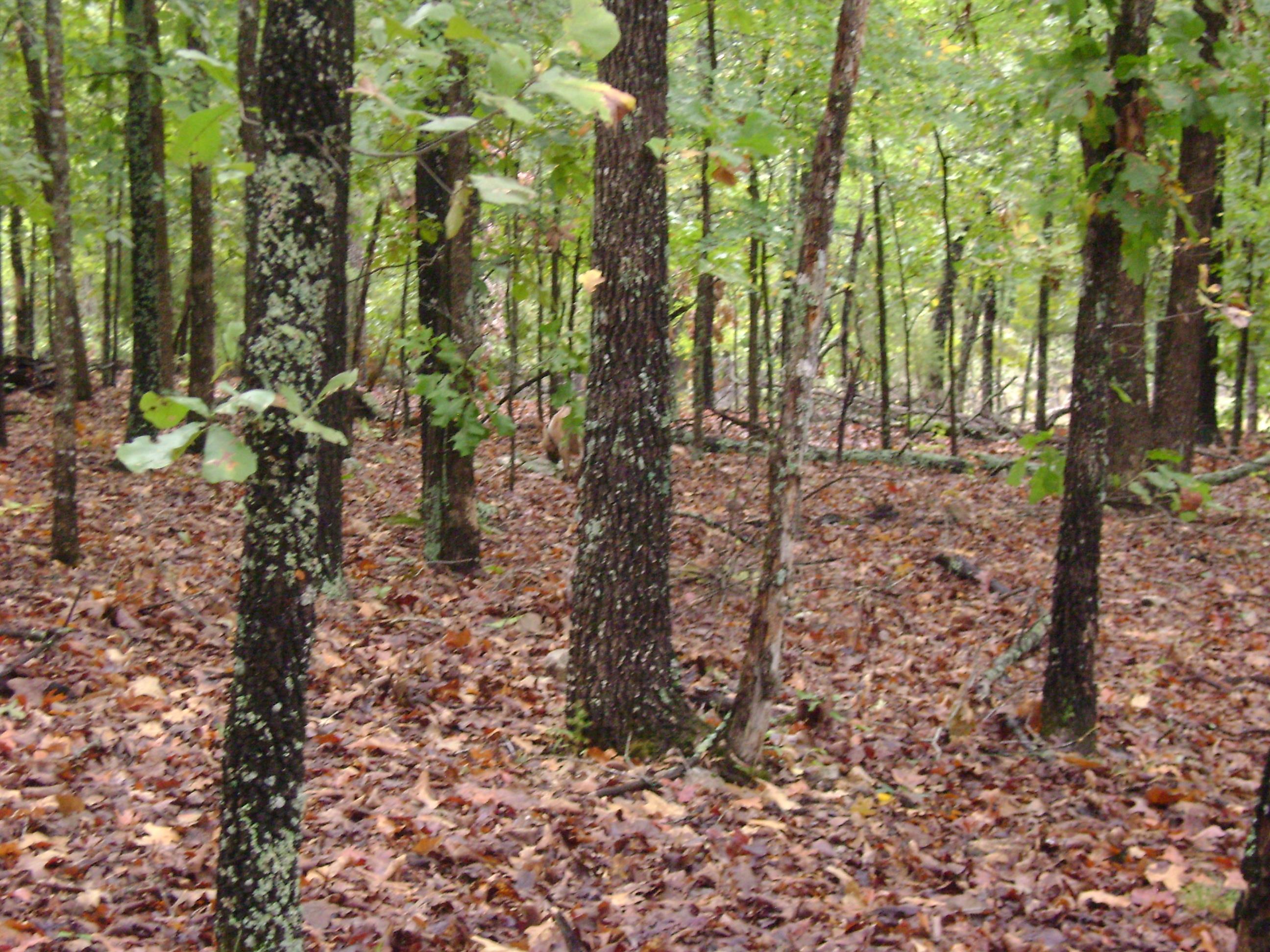 Xx Marquette Property Photo 46