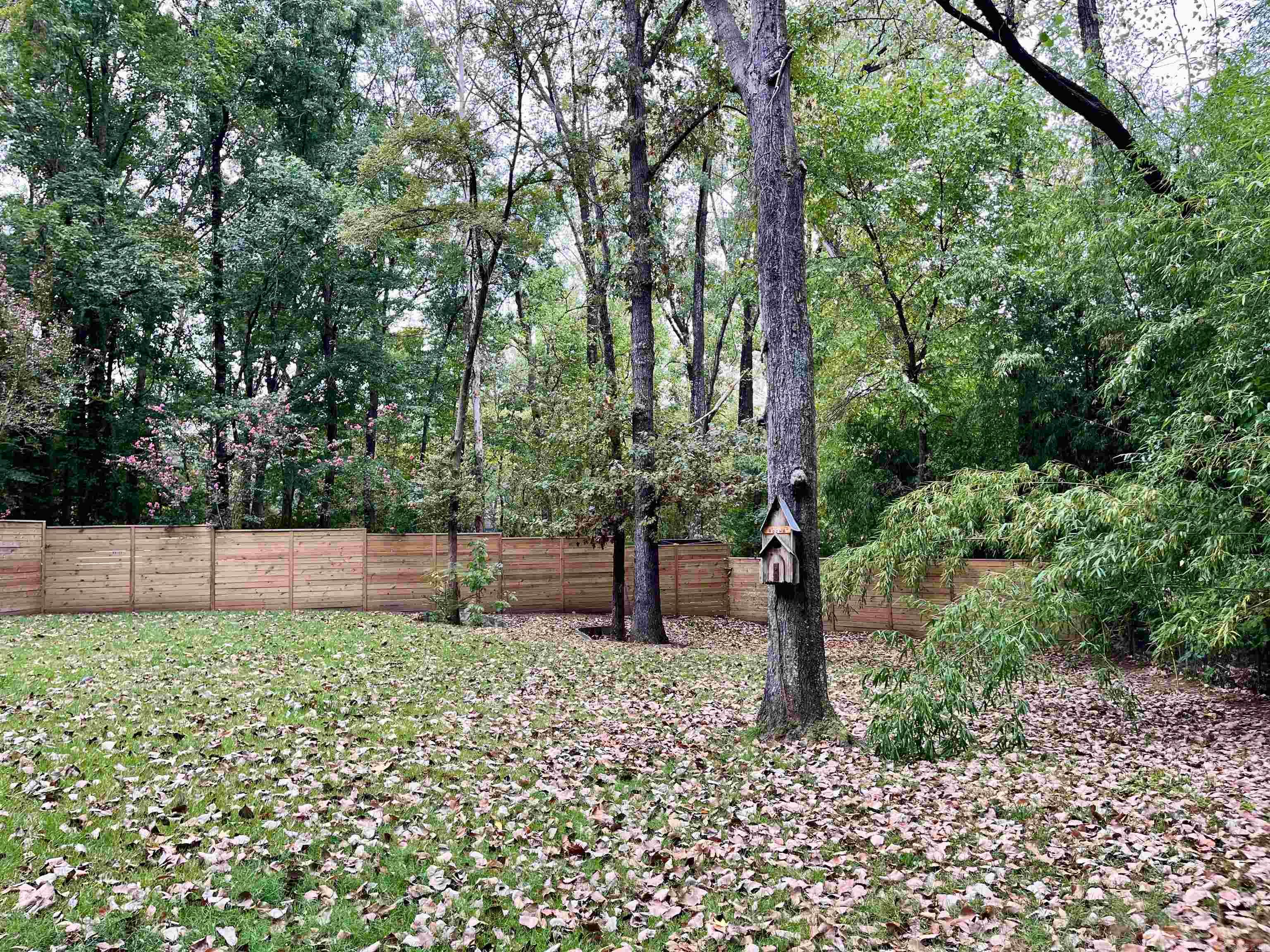 1009 Evergreen Drive Property Photo 44