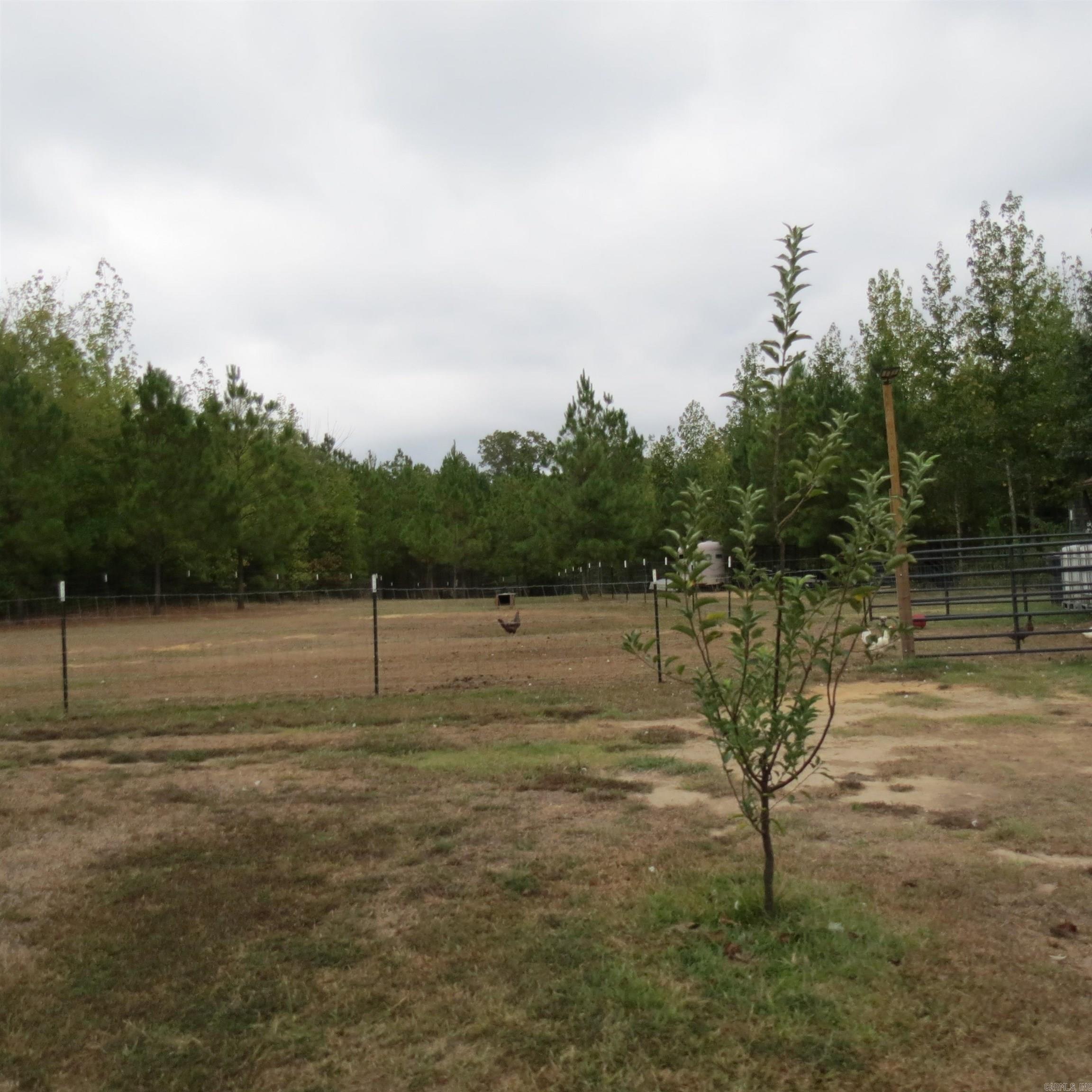 160 Clark Lane Property Photo 30