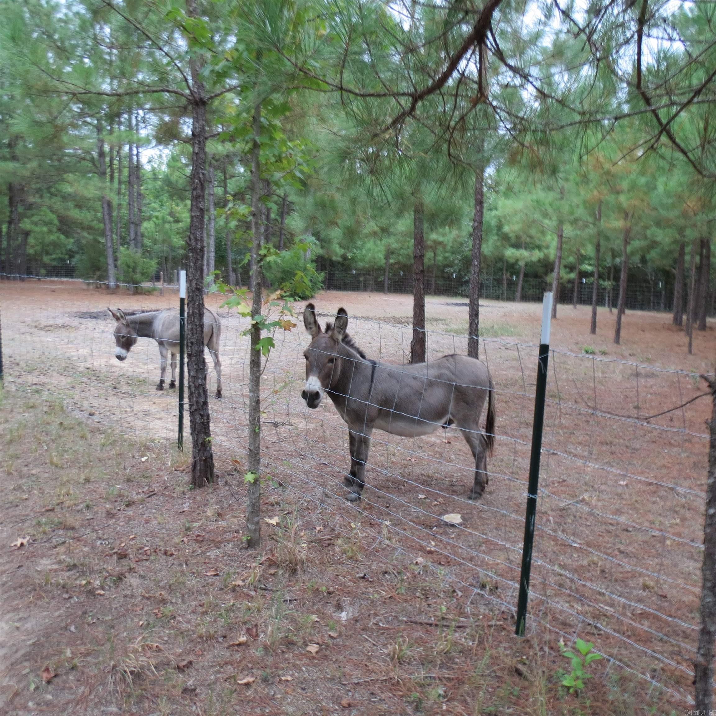 160 Clark Lane Property Photo 32