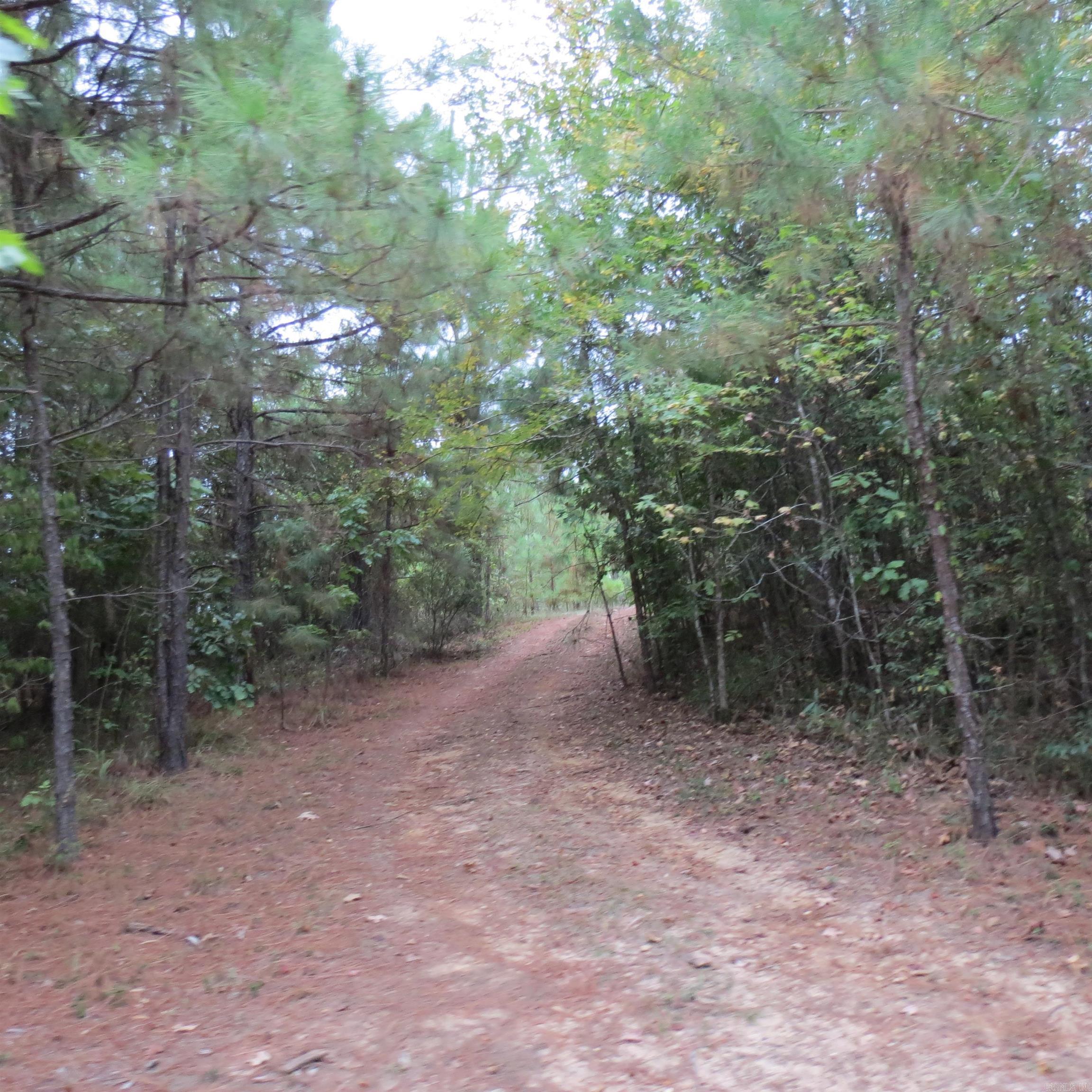 160 Clark Lane Property Photo 33