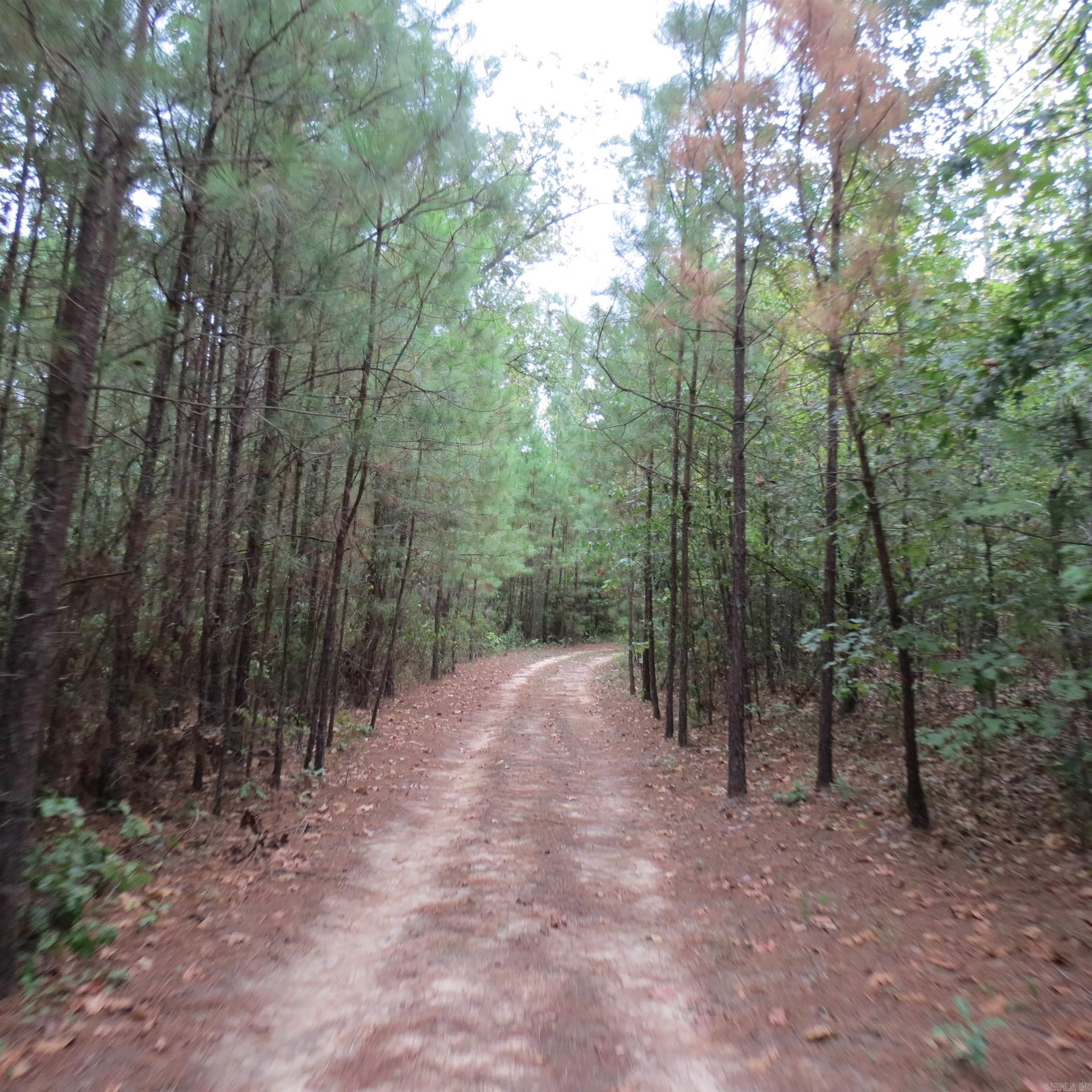 160 Clark Lane Property Photo 34