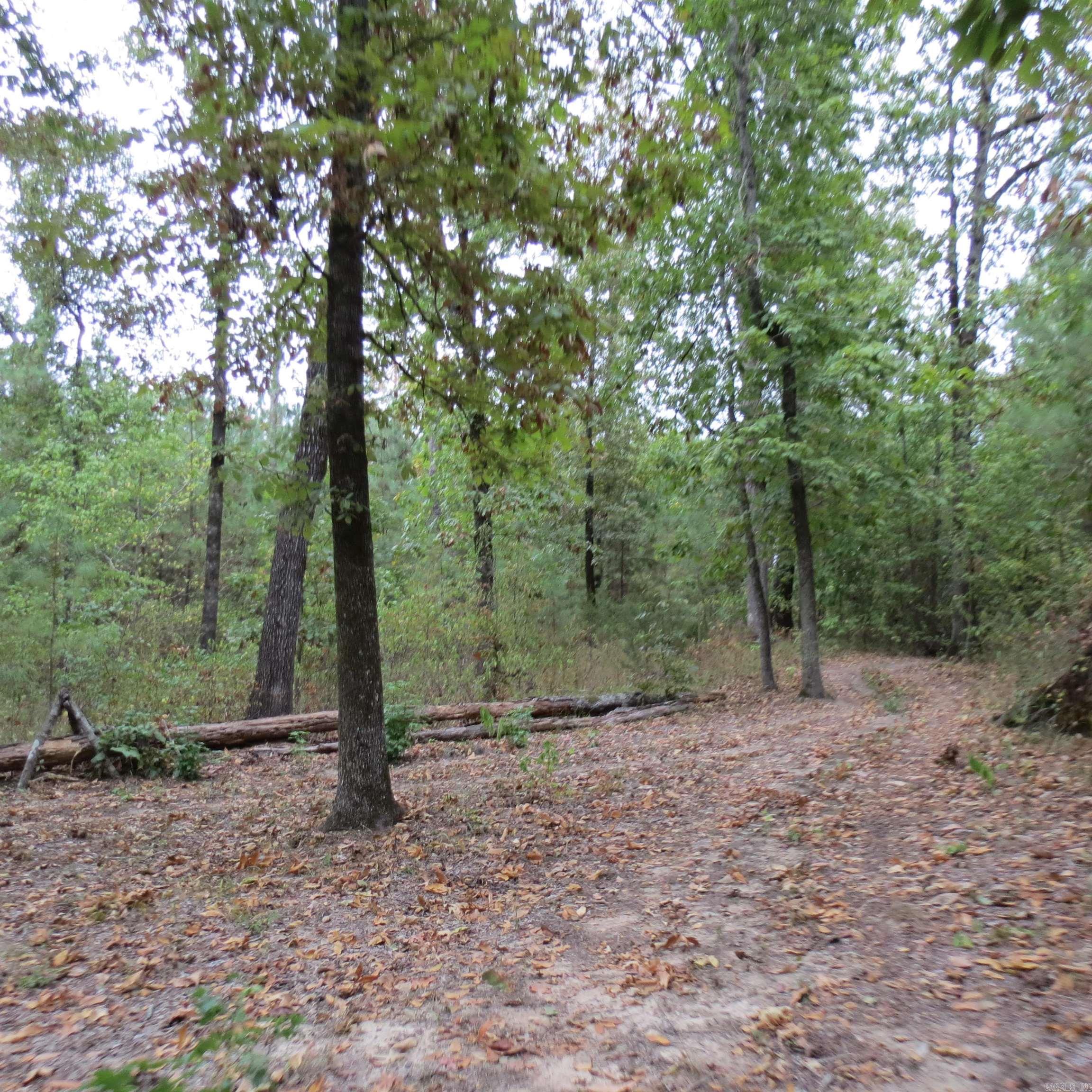 160 Clark Lane Property Photo 35