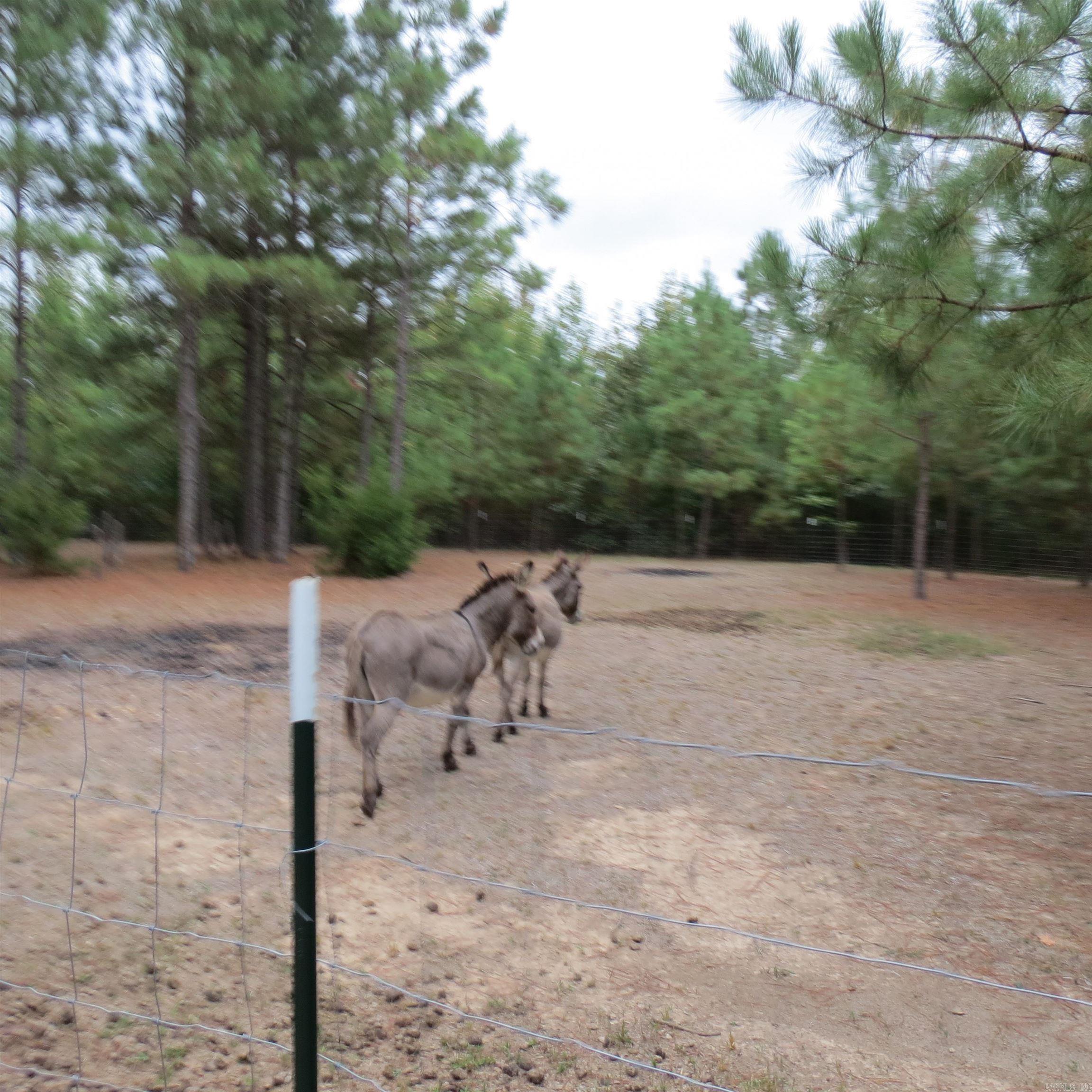 160 Clark Lane Property Photo 36