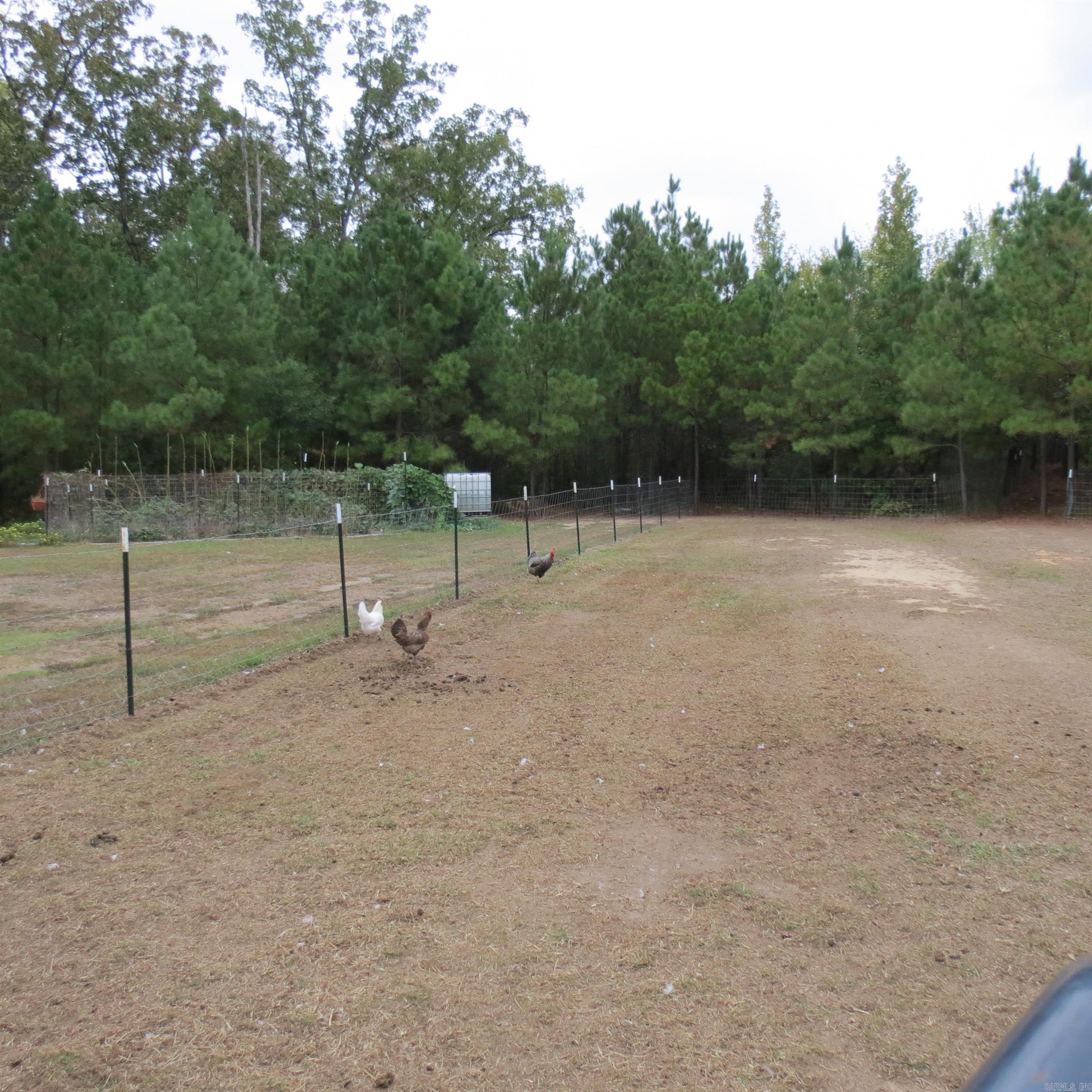 160 Clark Lane Property Photo 38