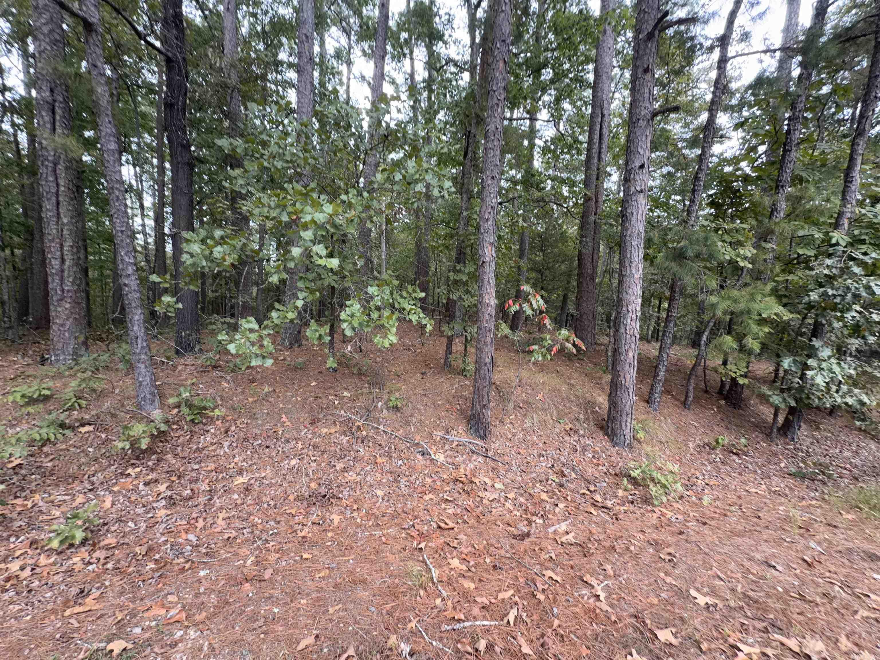28 Cancion Way Property Photo 1