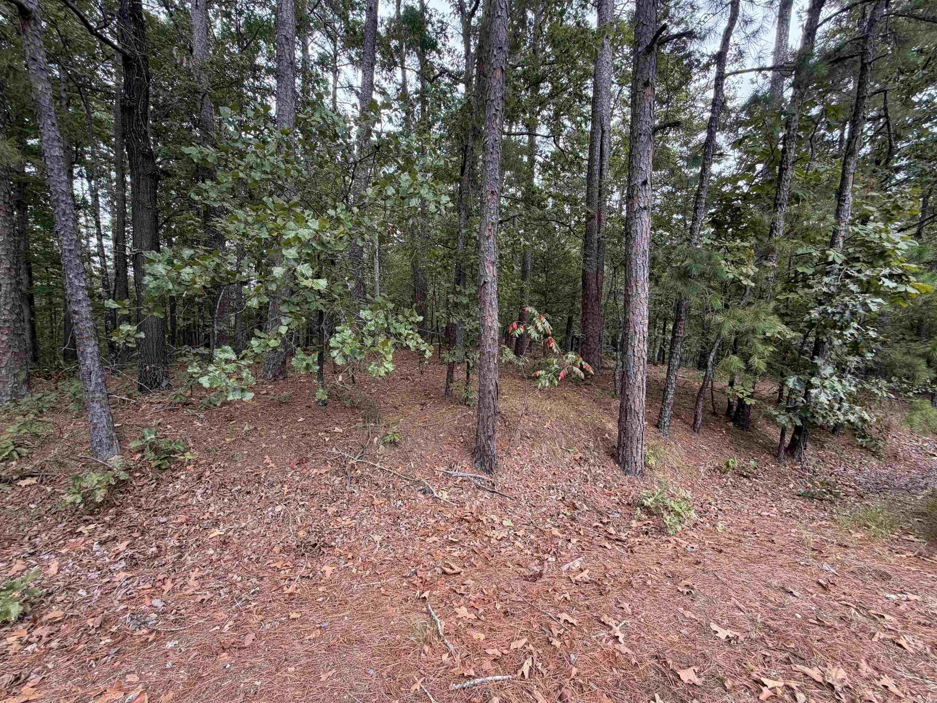 28 Cancion Way Property Photo 2