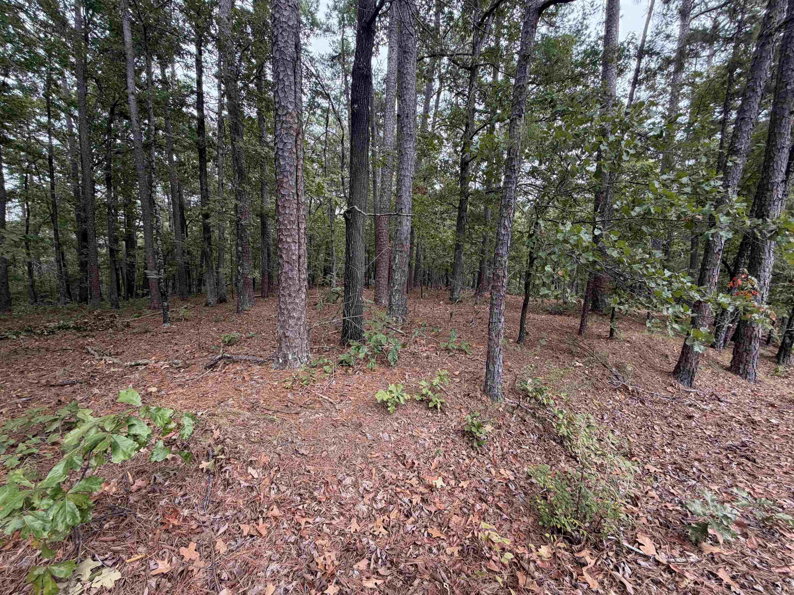 28 Cancion Way Property Photo 3