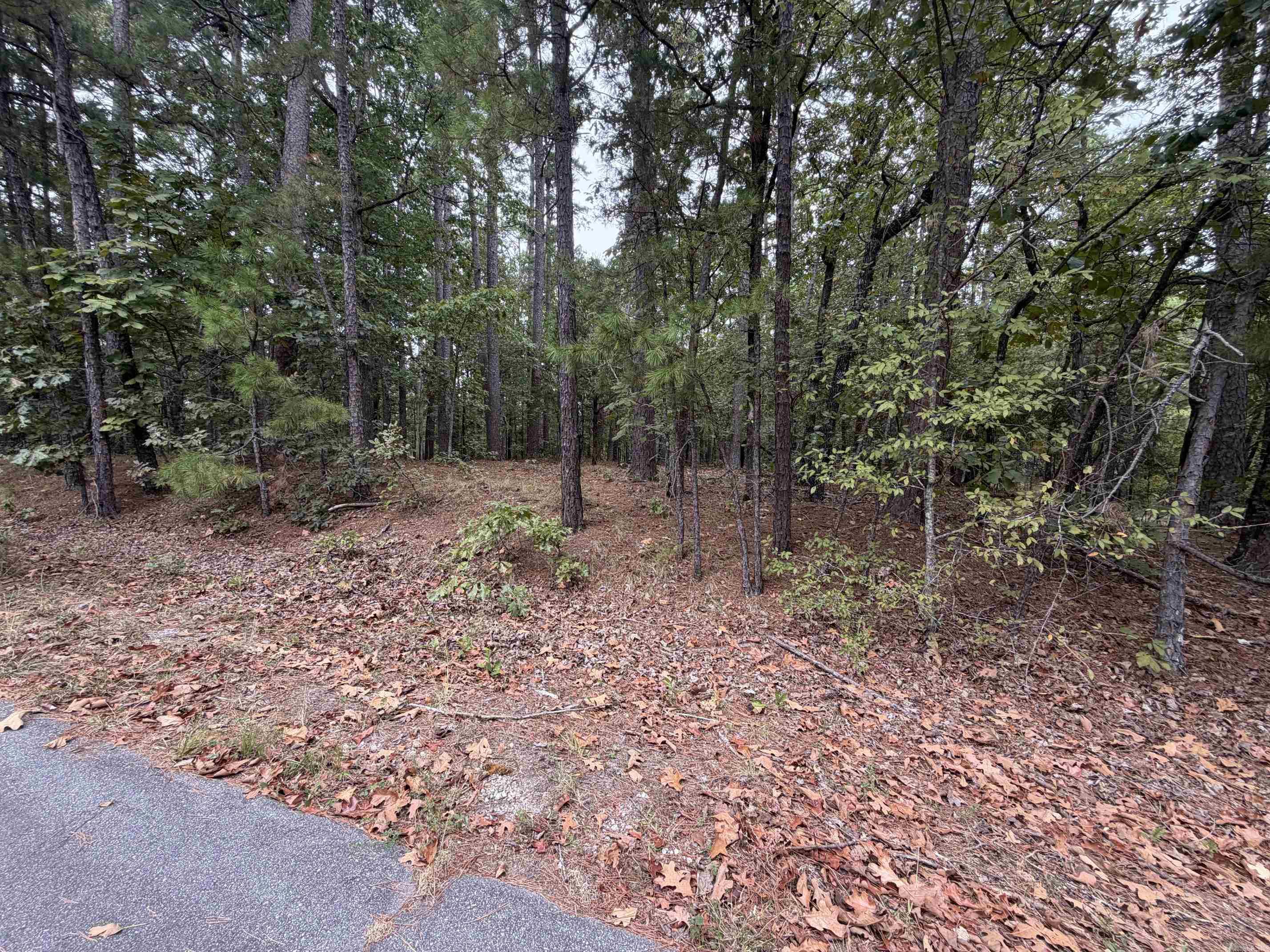 28 Cancion Way Property Photo 4