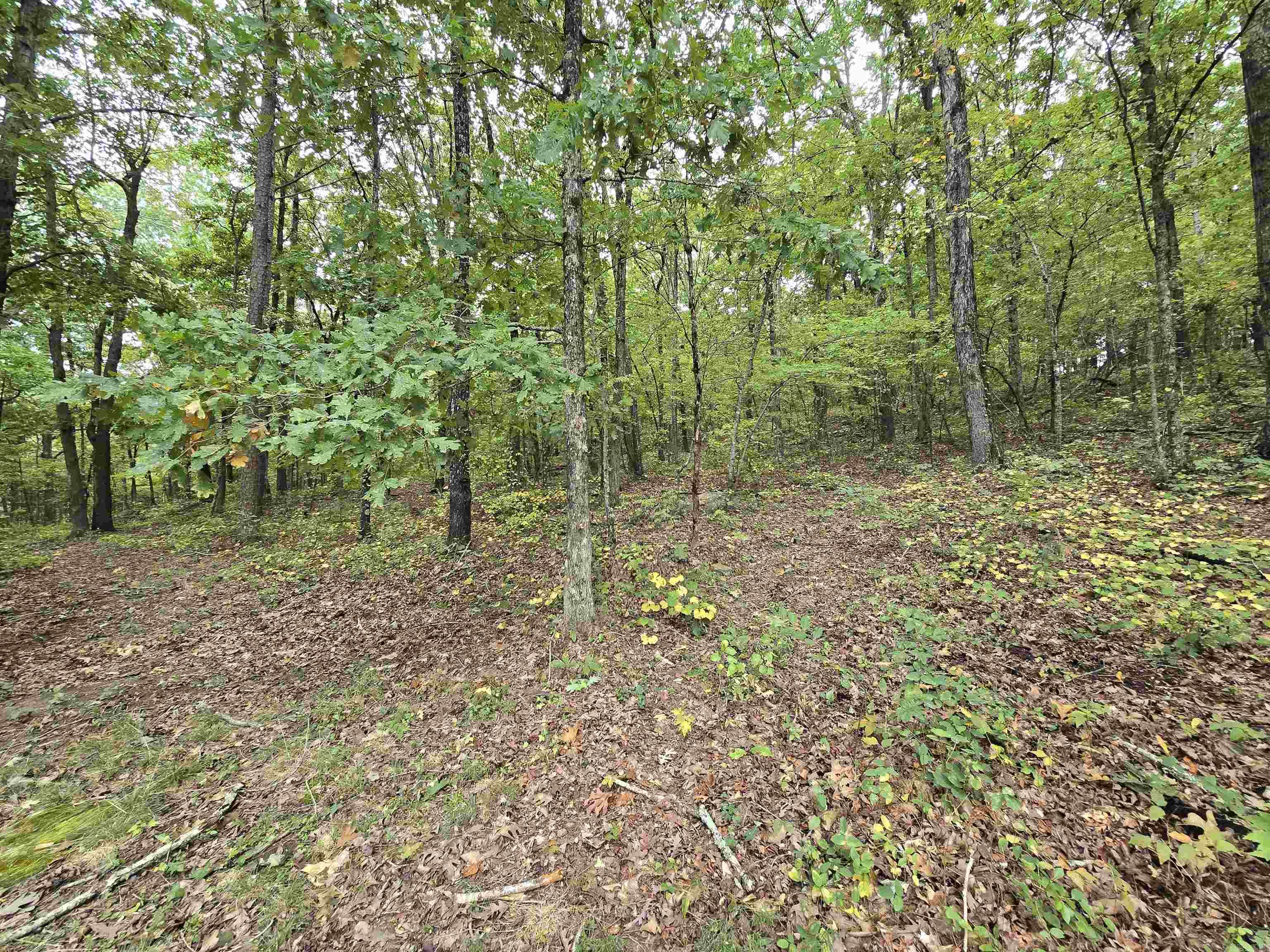 361 Radio Property Photo 10