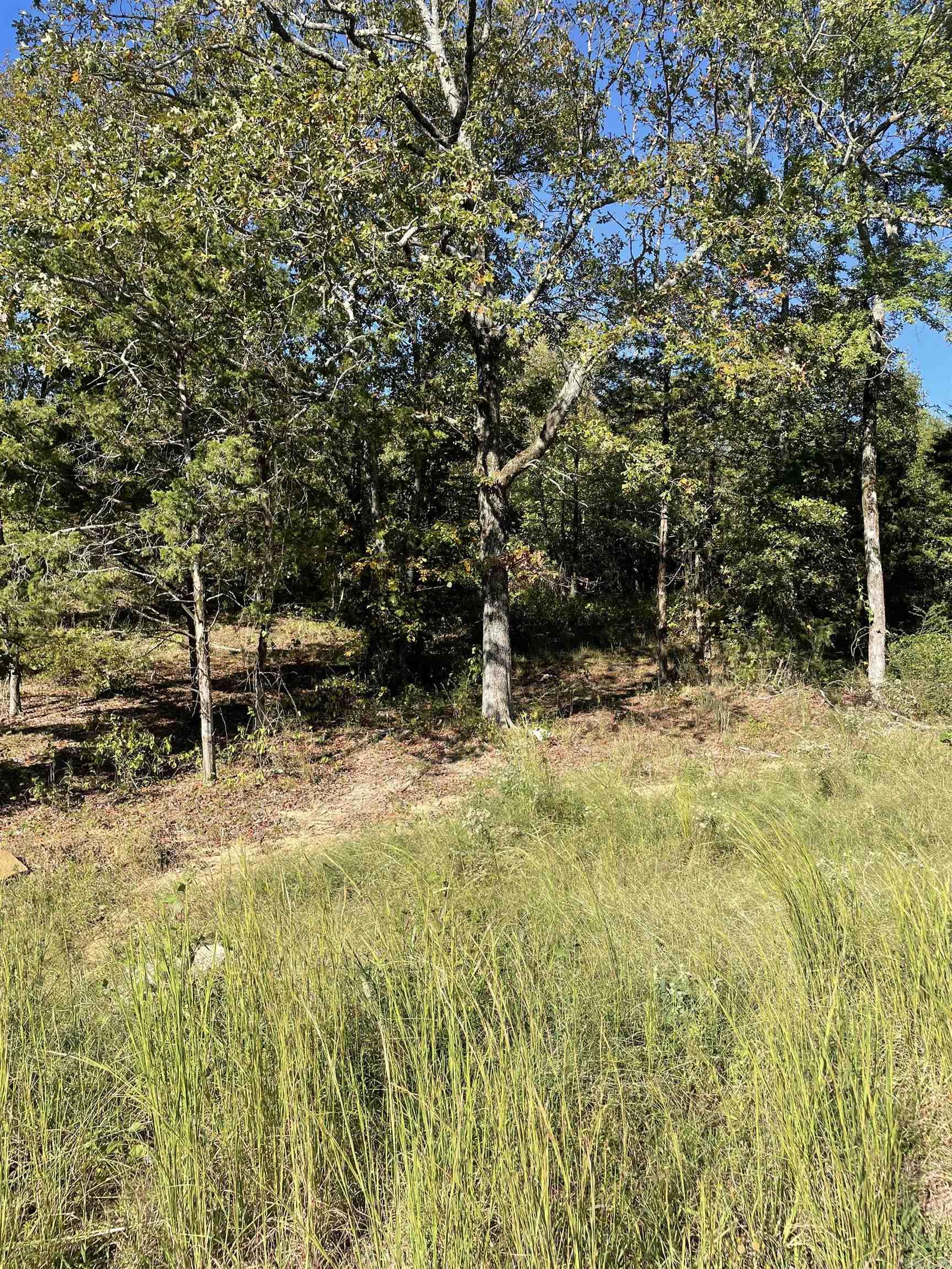 20 Heritage Lane Property Photo 6