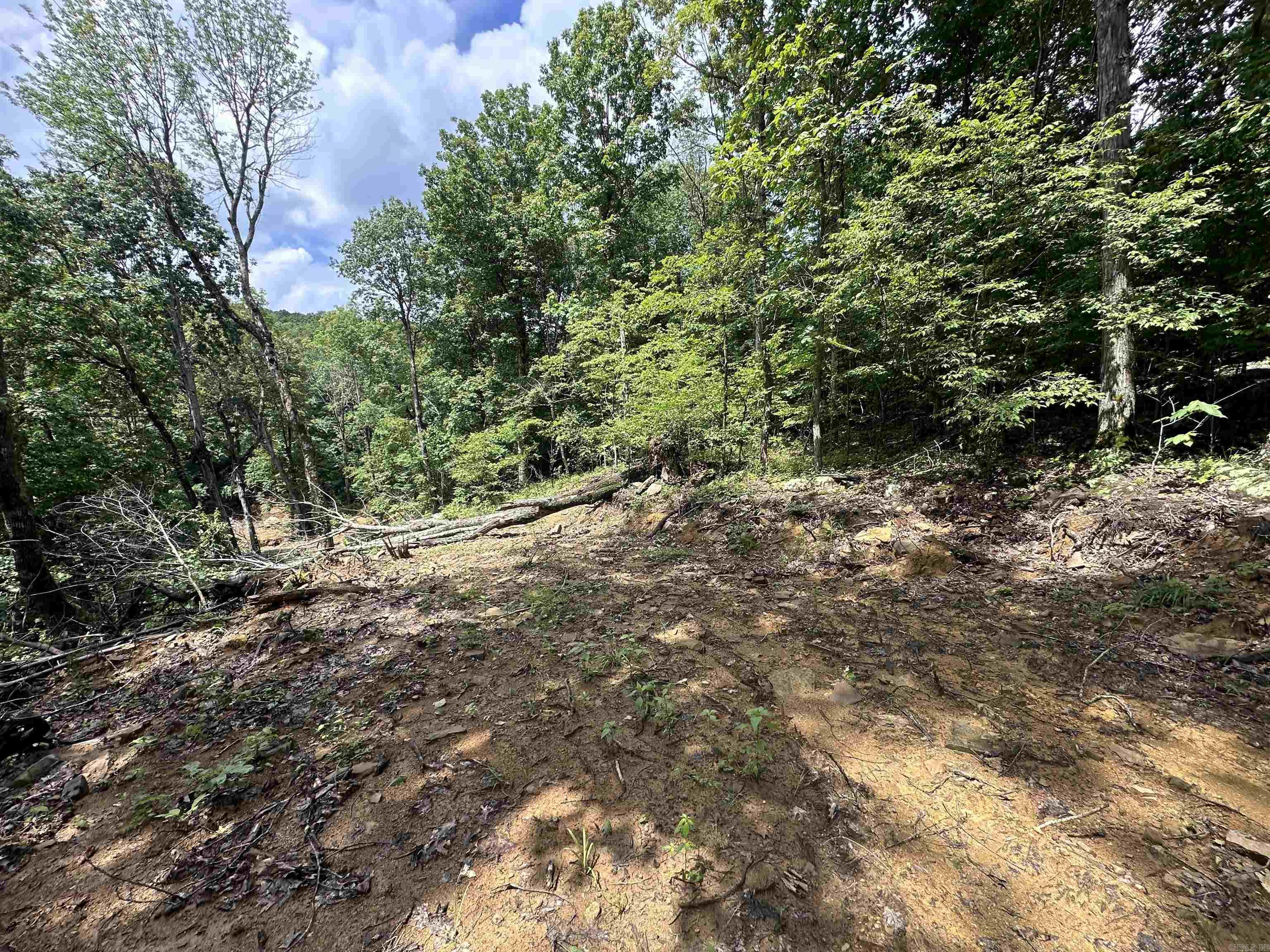 0 Old 66 Rd Property Photo 21