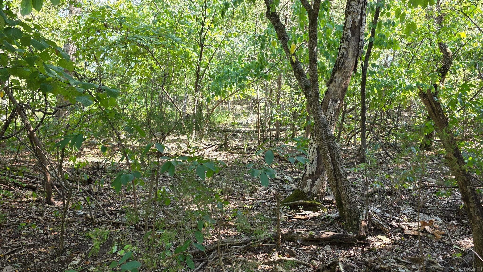 Lot 30 Mallard Drive Property Photo 2