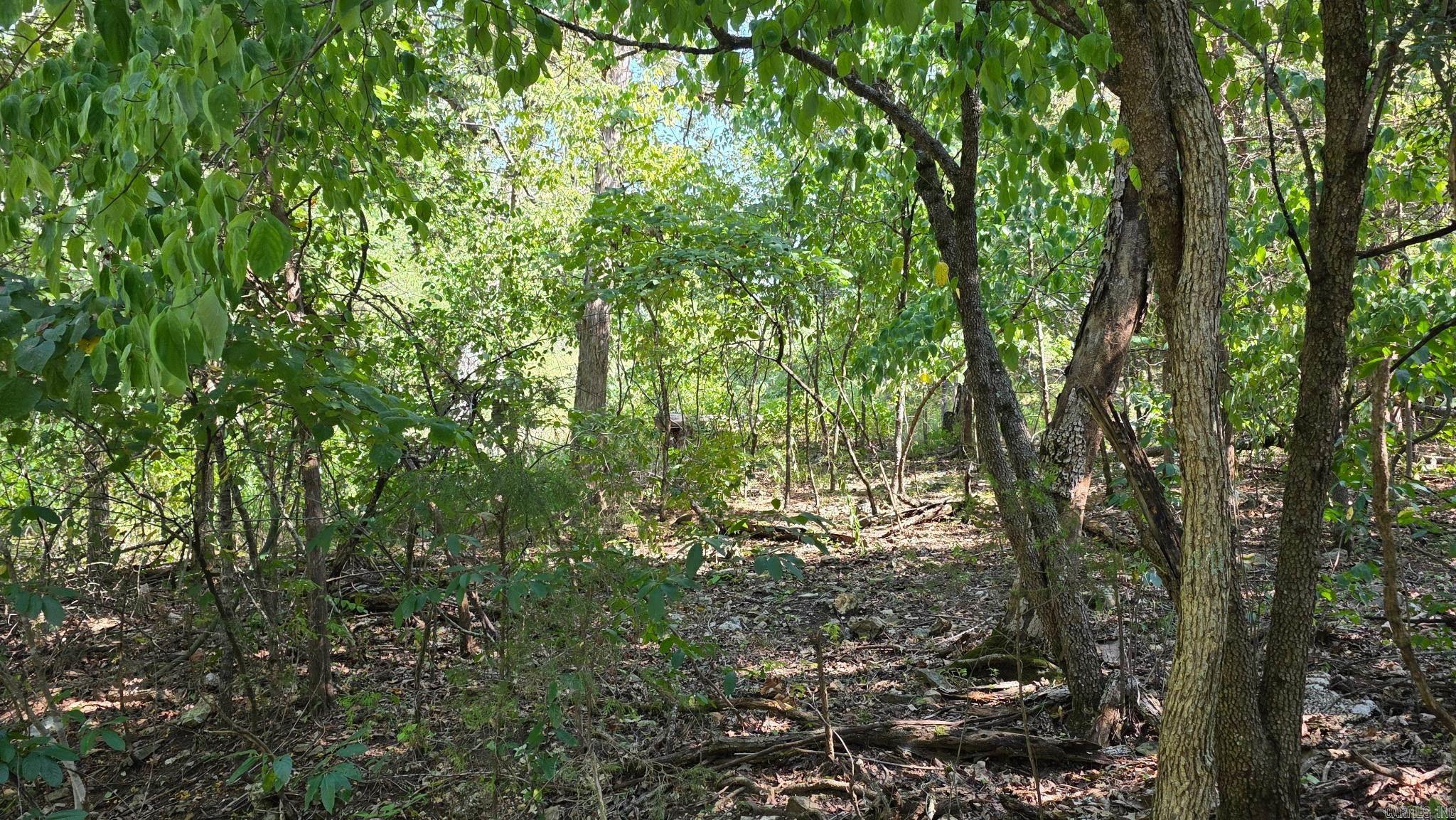 Lot 30 Mallard Drive Property Photo 3